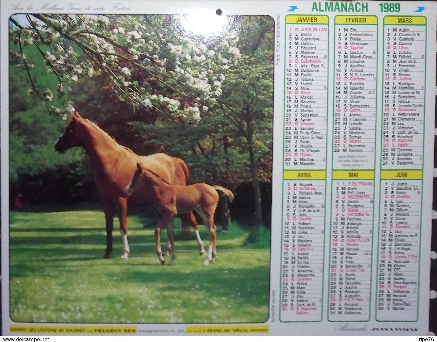 Calendrier Almanach Lavigne Facteur 1989 Chien Berger Des Alpes Jument Poulain - Calvados - Grand Format : 1981-90