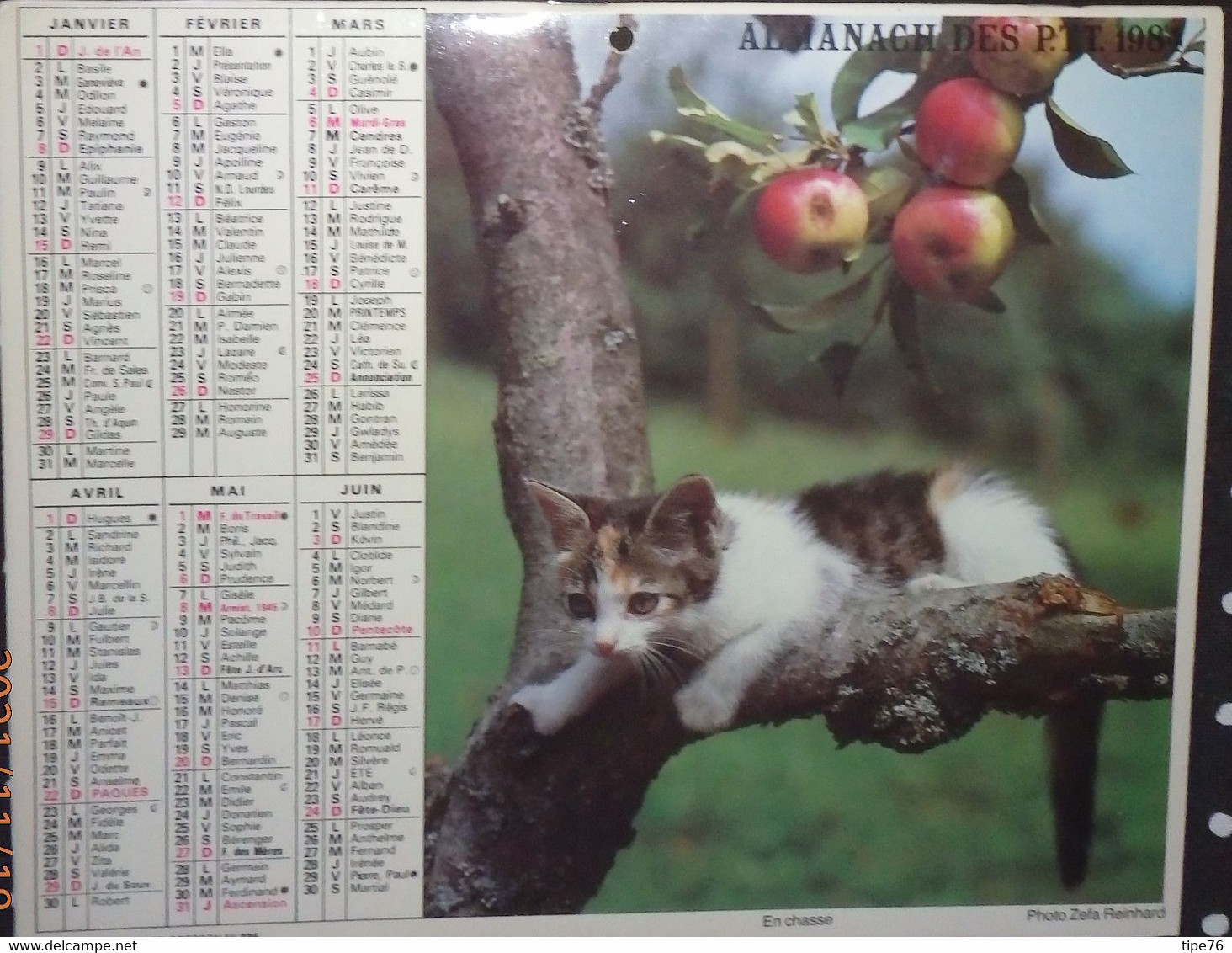 Calendrier Almanach Cartier Bresson Facteur 1984 Chat Chaton Calvados - Grand Format : 1981-90