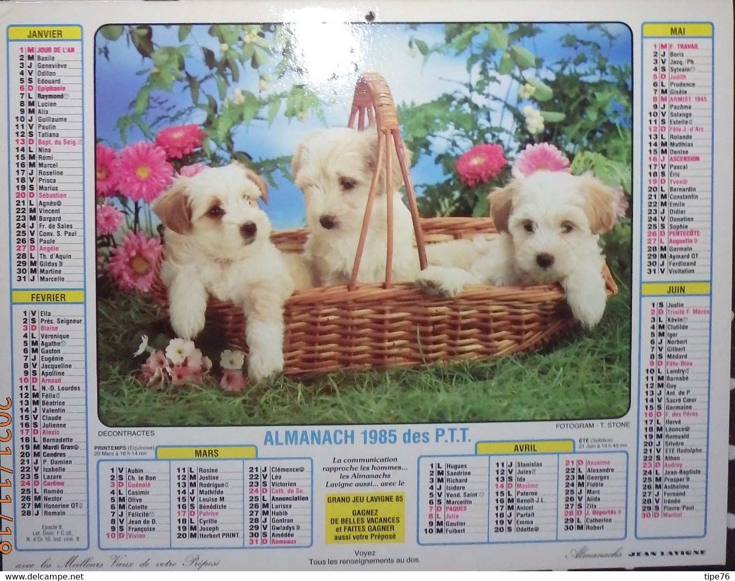 Calendrier Almanach Lavigne  Facteur 1985 Chat Chaton Chien Chiot Calvados - Grand Format : 1981-90