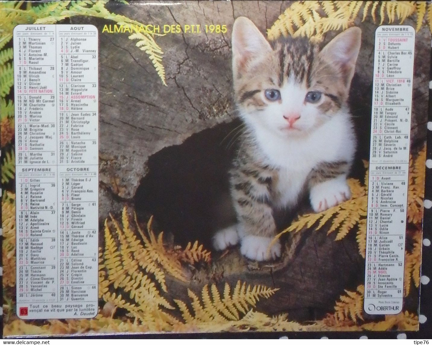 Calendrier Almanach Oberthur  Facteur 1985 Chat Chaton Chien  Calvados - Grand Format : 1981-90