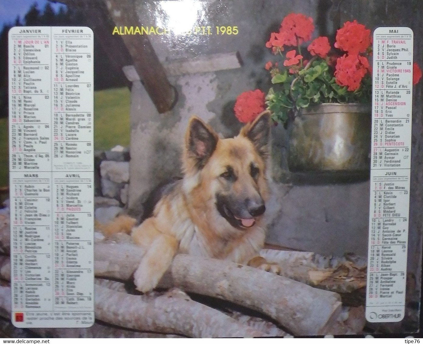 Calendrier Almanach Oberthur  Facteur 1985 Chat Chaton Chien  Calvados - Grand Format : 1981-90