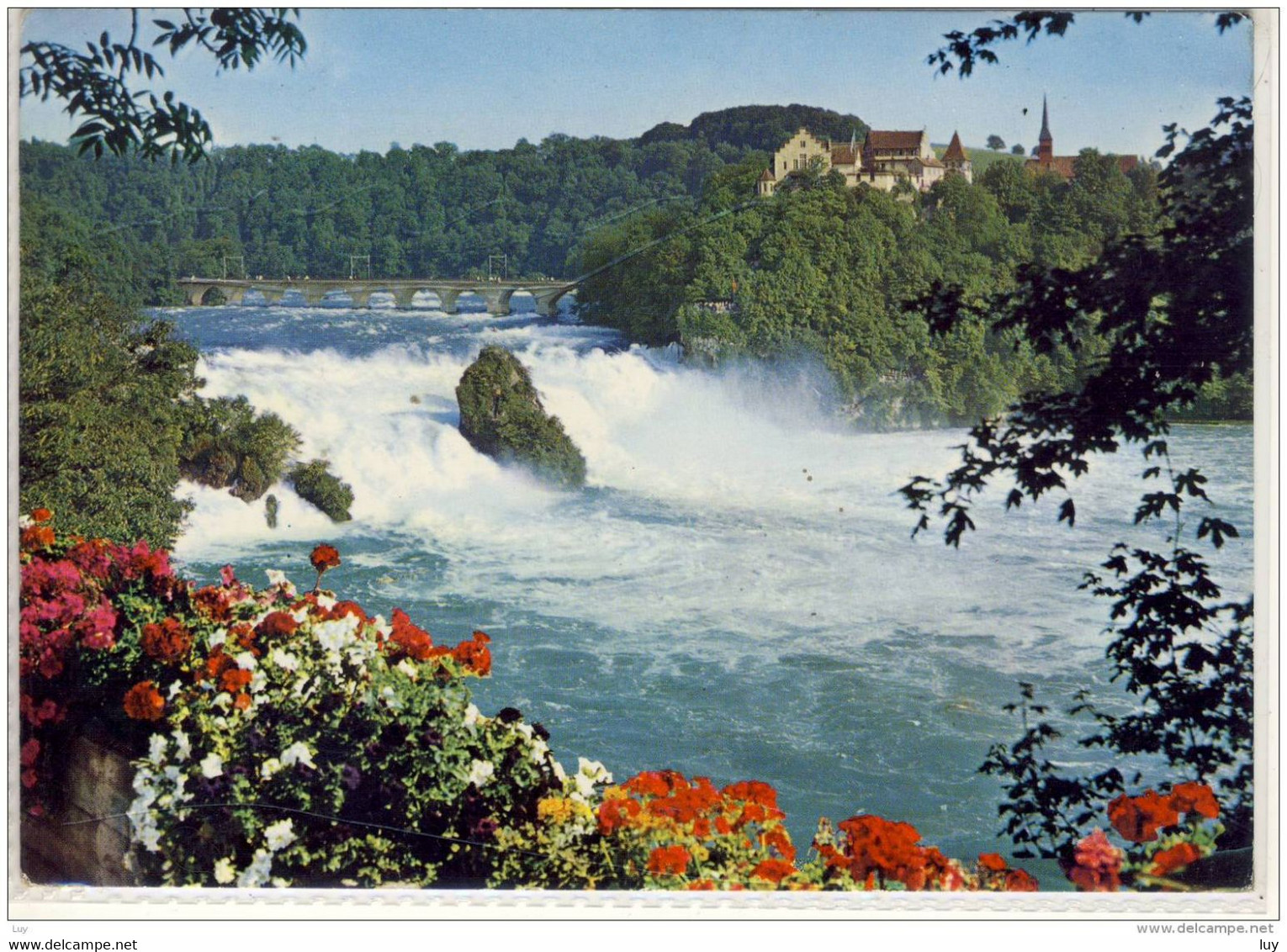 Rheinfall Mit Schloss Laufen  Wasserfall, Waterfall, Cascata, Chute D'eau - Laufen-Uhwiesen 