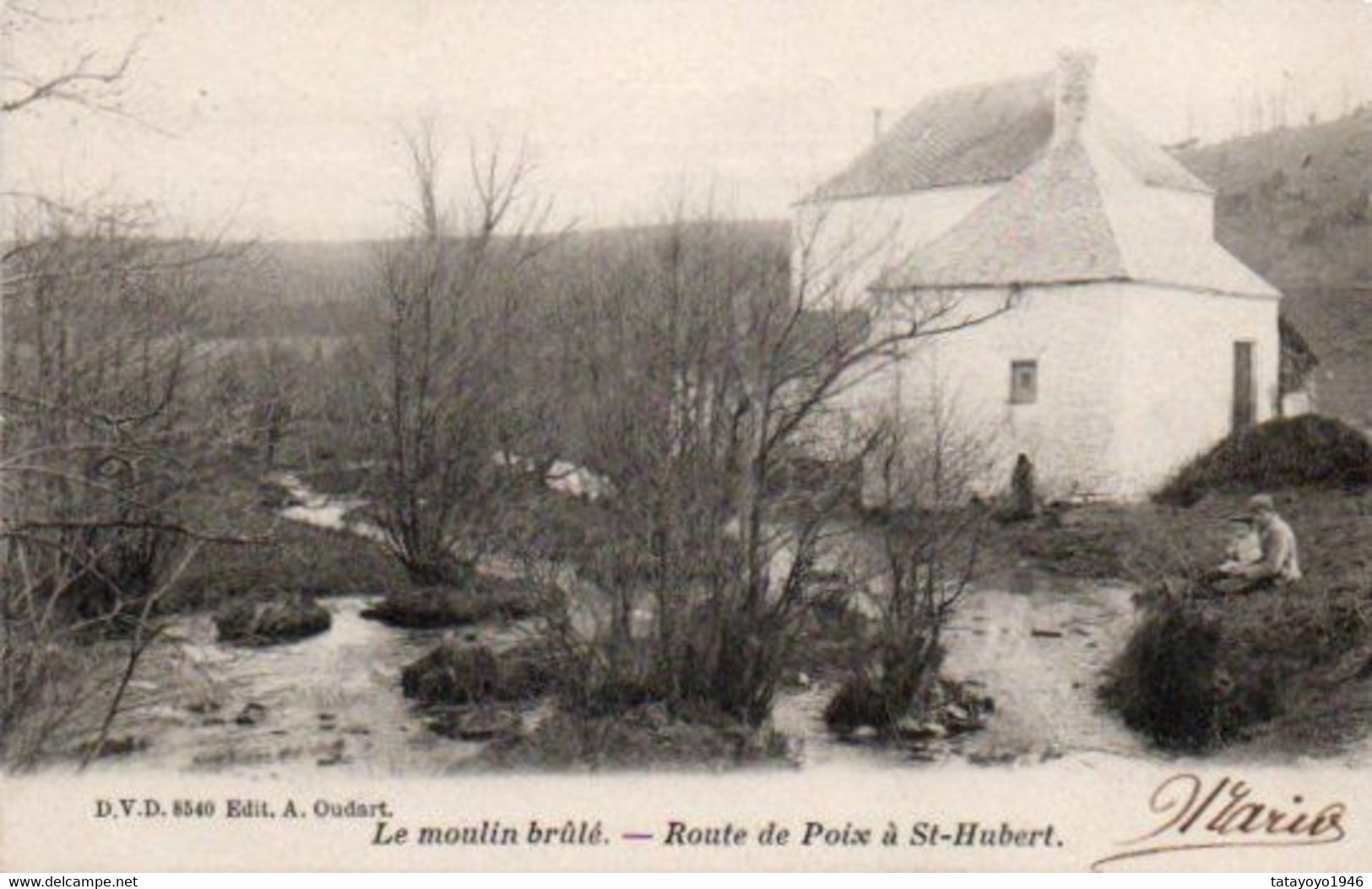 Route De Poix à St Hubert  Le Moulin Brulé  D.V.D 8540 Voyagé En 1902 - Saint-Hubert