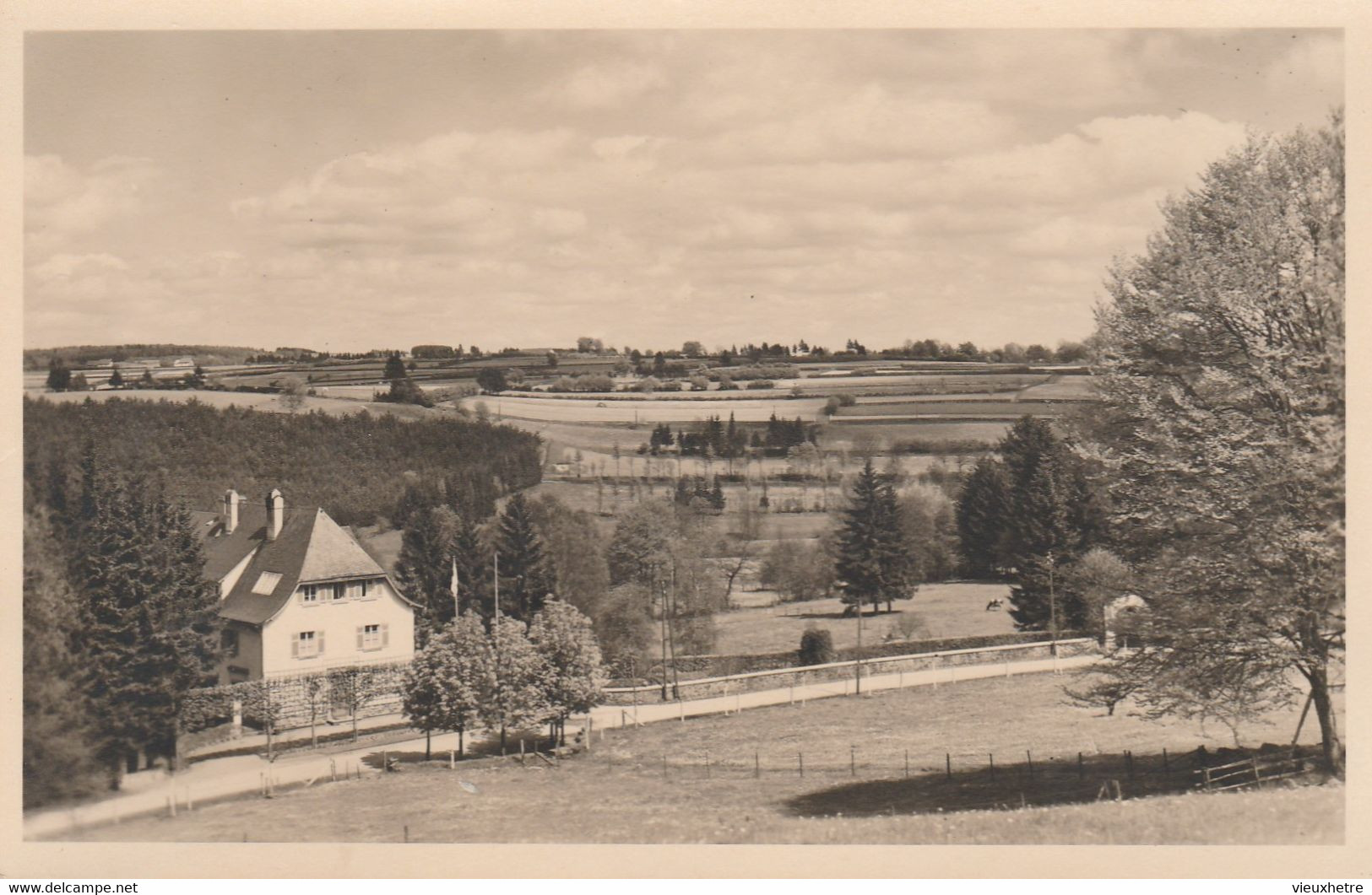 Région ELSENBORN  BULLINGEN  BULLANGE MONTENAU   Une Photo Carte Et Une Photo - Büllingen