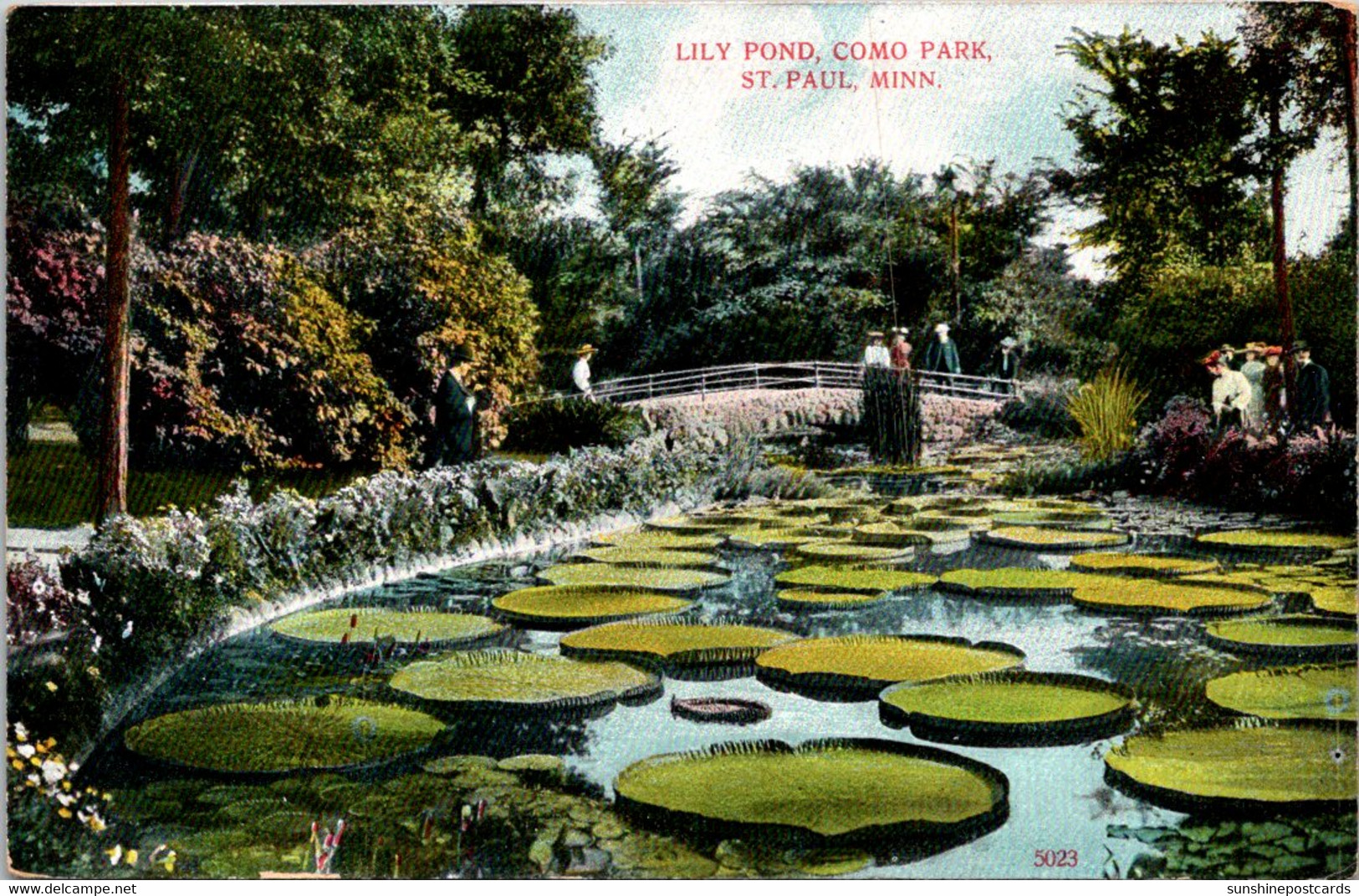 Minnesota St Paul Como Park The Lily Pond 1910 - St Paul