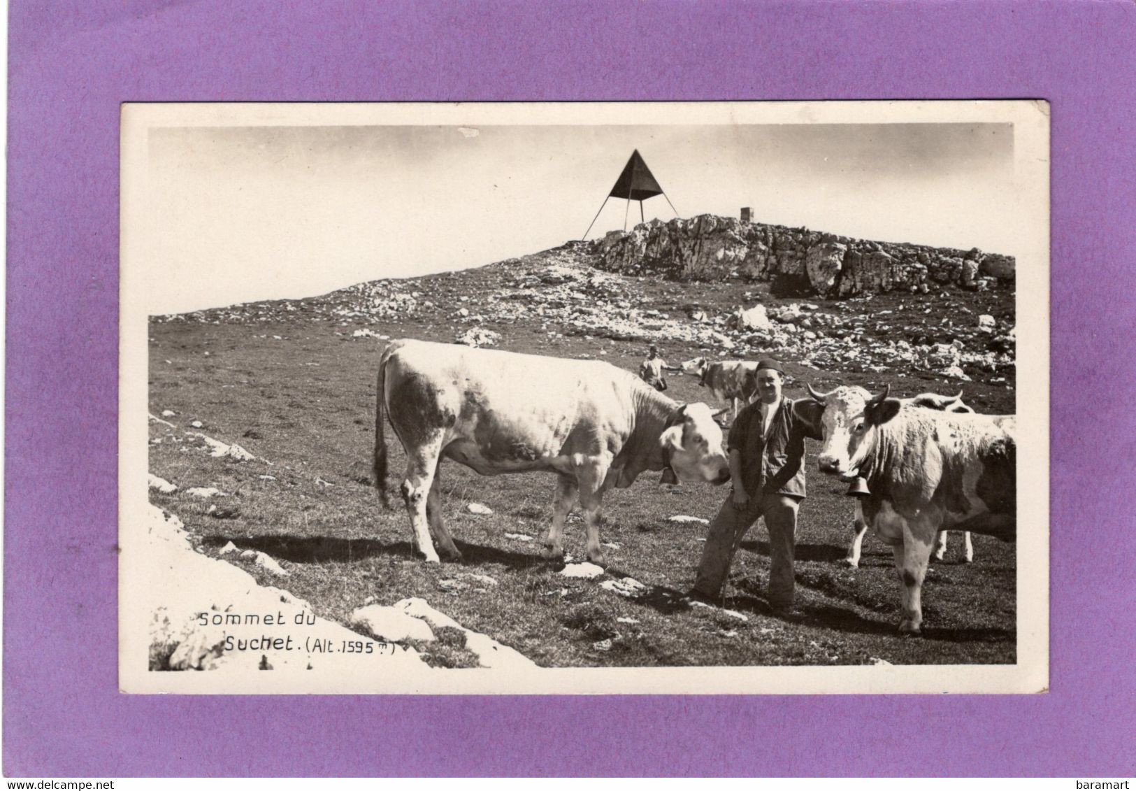 VD RANCES  Sommet Du Suchet  Troupeau De Vaches Avec Des Cloches Et Leur Gardien A. DERIAZ  Édit. N° 5641 - Rances