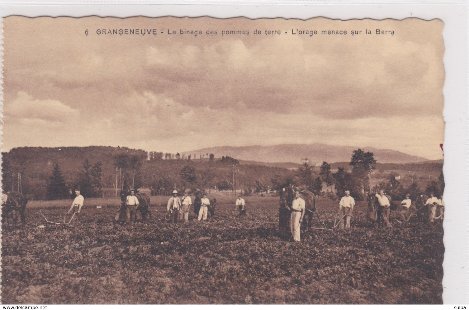 Posieux, Grangeneuve. Ecole D'agriculture. Le Binage Des Pommes De Terre. Charrue Tirée Par Un Cheval - Posieux