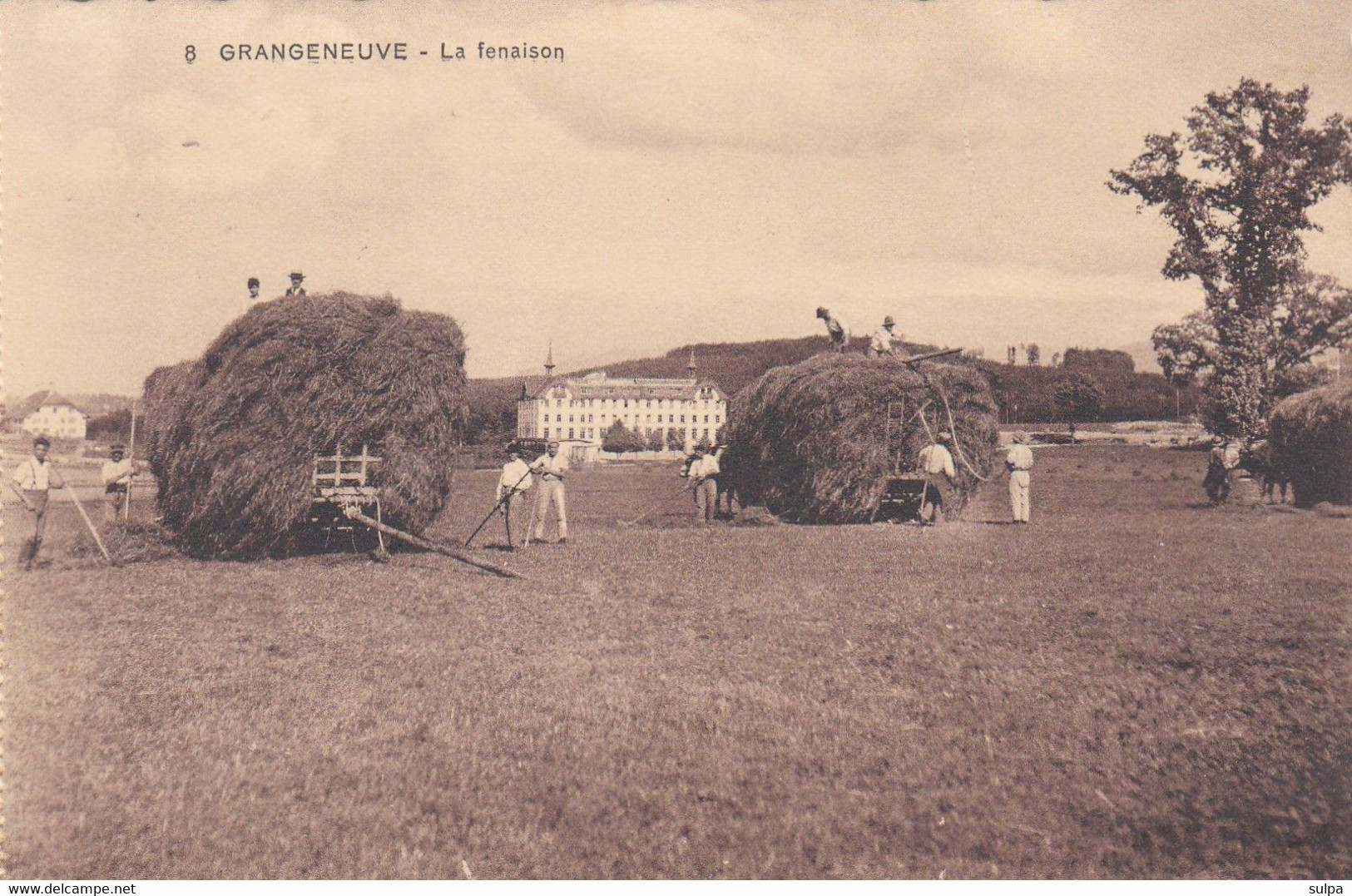 Posieux, Grangeneuve. Ecole D'agriculture. La Fenaison - Posieux