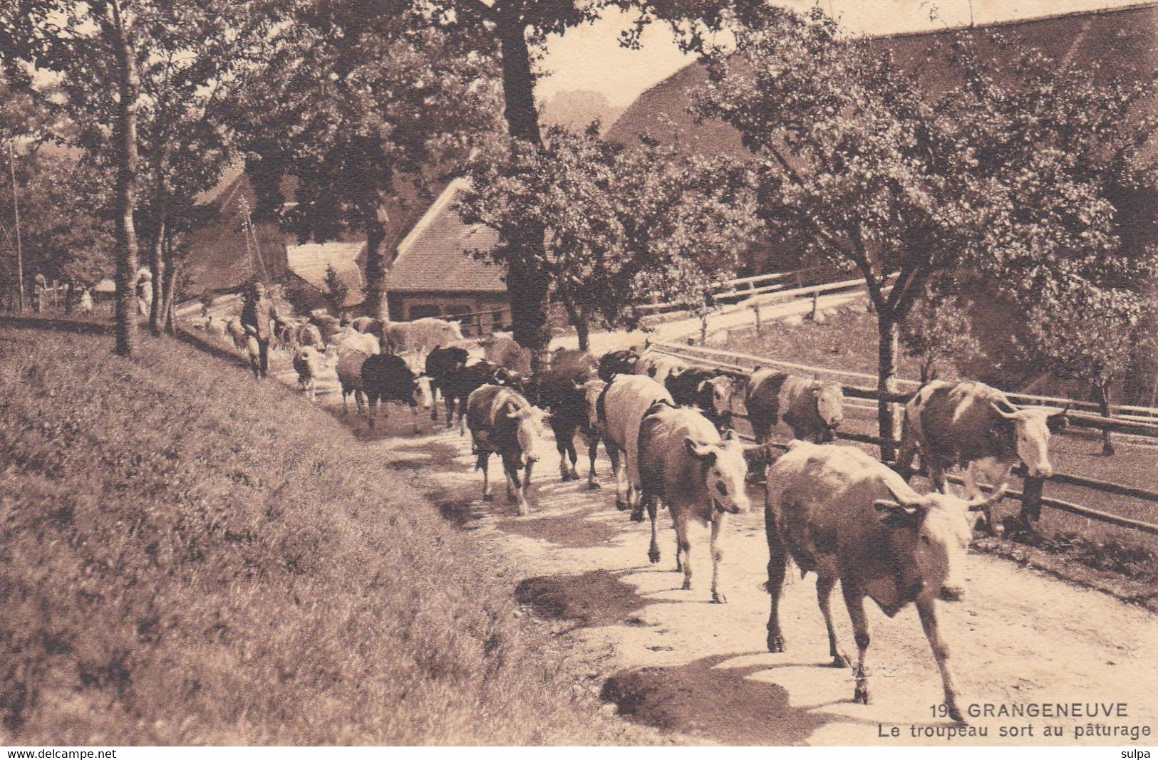 Posieux, Grangeneuve. Ecole D'agriculture. Le Troupeau Sort Au Pâturage - Posieux