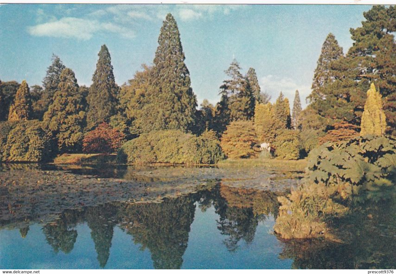Sheffield Park Gardens - Unused Postcard - Sussex - J Arthur Dixon - Rye