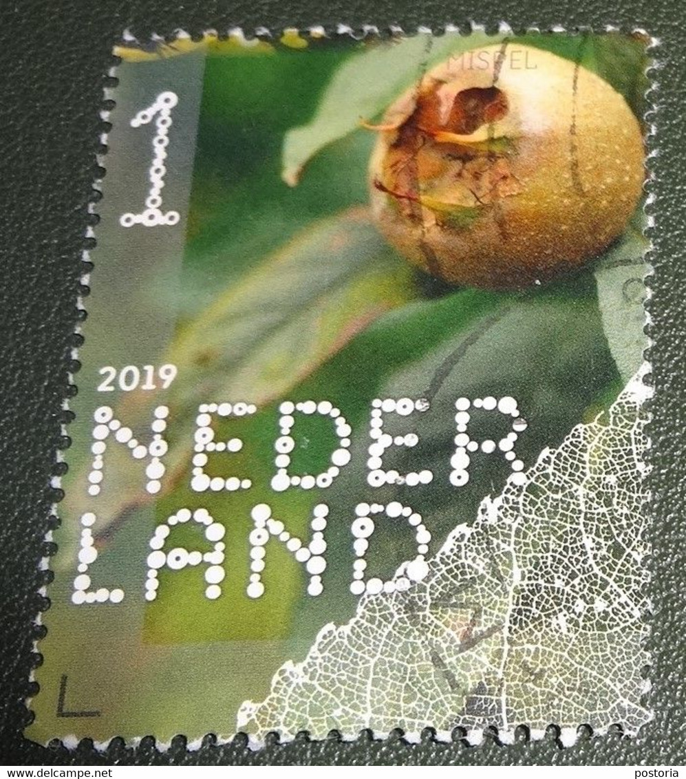 Nederland - NVPH - Xxxx - 2019 - Gebruikt - Beleef De Natuur - Mispel - Oblitérés