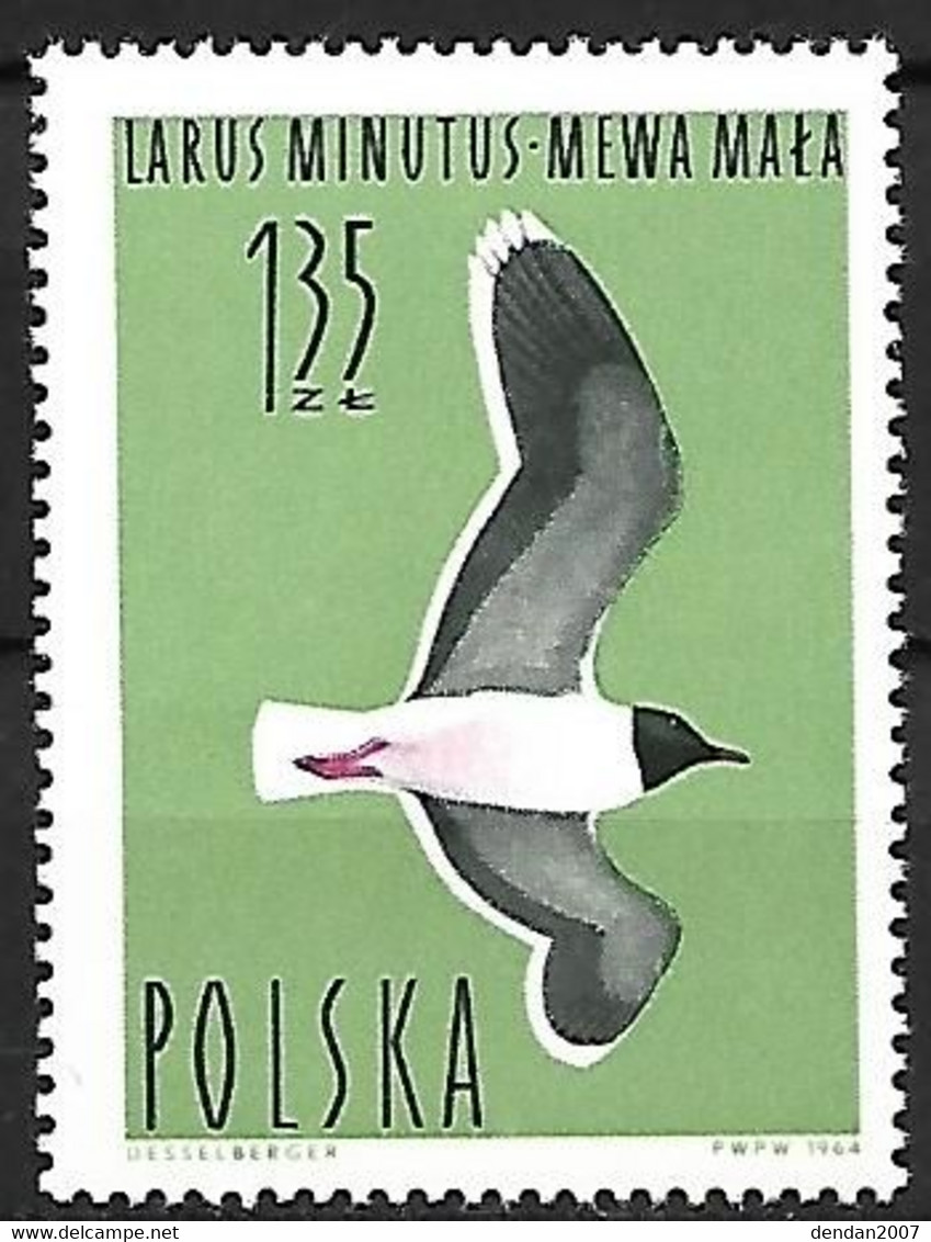 Poland - MNH ** 1964 :    Little Gull  -  Hydrocoloeus Minutus - Meeuwen