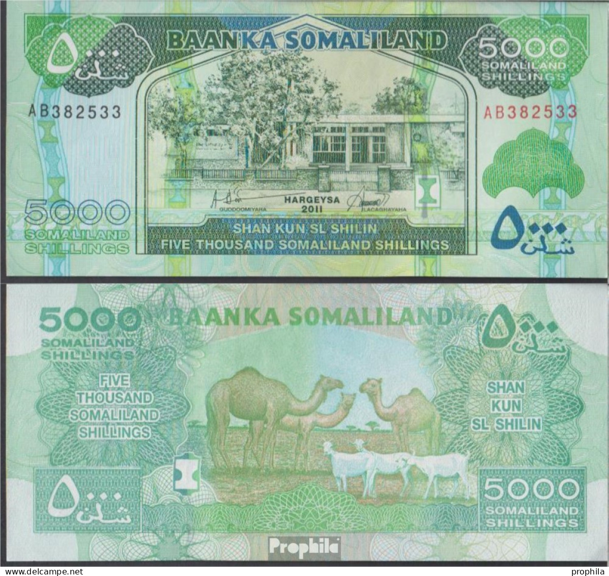 Somaliland Pick-Nr: 21a Bankfrisch 2011 5.000 Shillings - Somalia