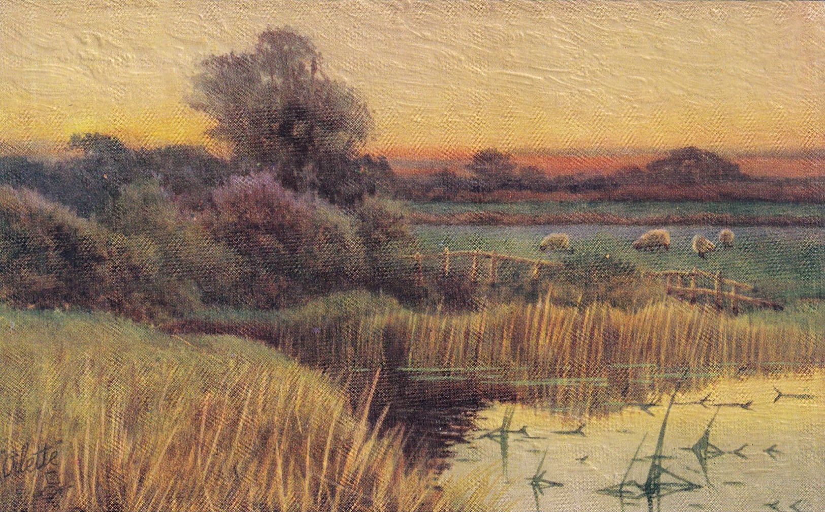 ENGLAND, 1900-1910s; The Blush Of Eve, Sheeps Eating, Sunset Scene, TUCK No. 2883 - Other & Unclassified