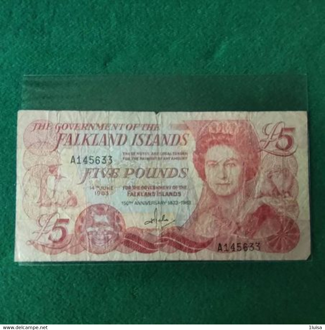 FALKLAND 5 Pounds  1983 - Islas Malvinas