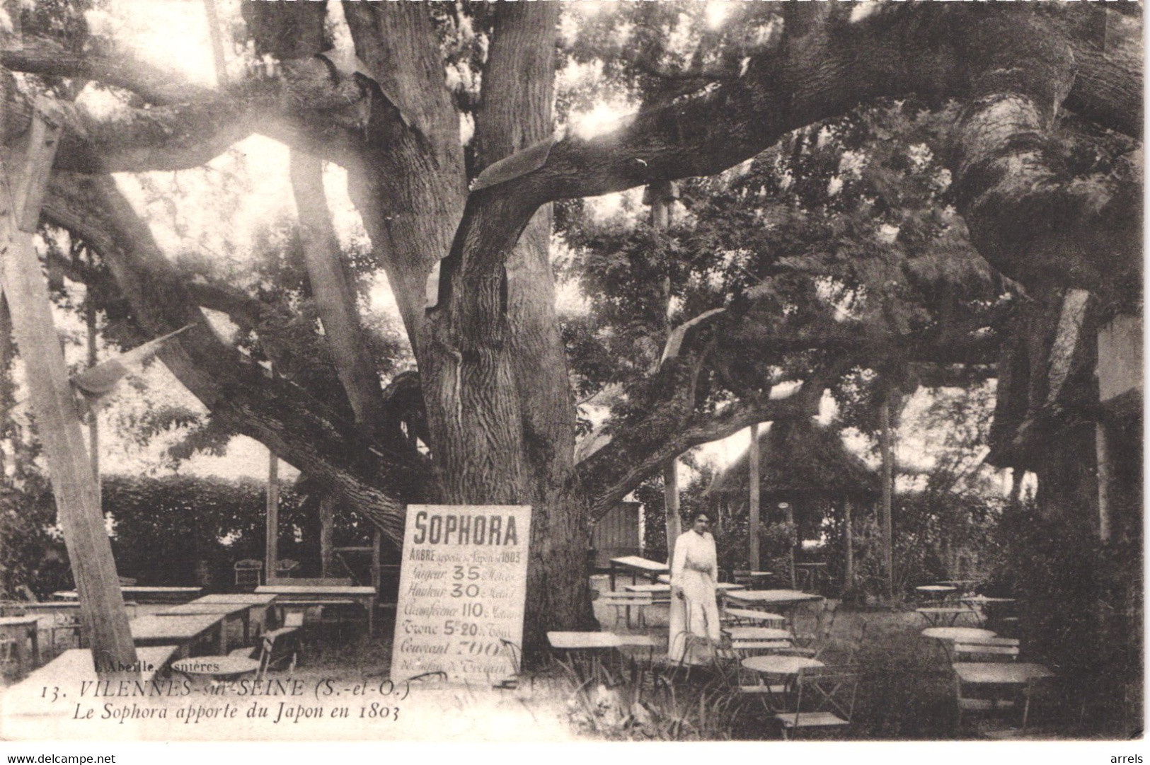 FR78 VILLENNES SUR SEINE - Le Sephora (arbre) Apporté Du Japon En 1803 - Animée - Belle - Poissy