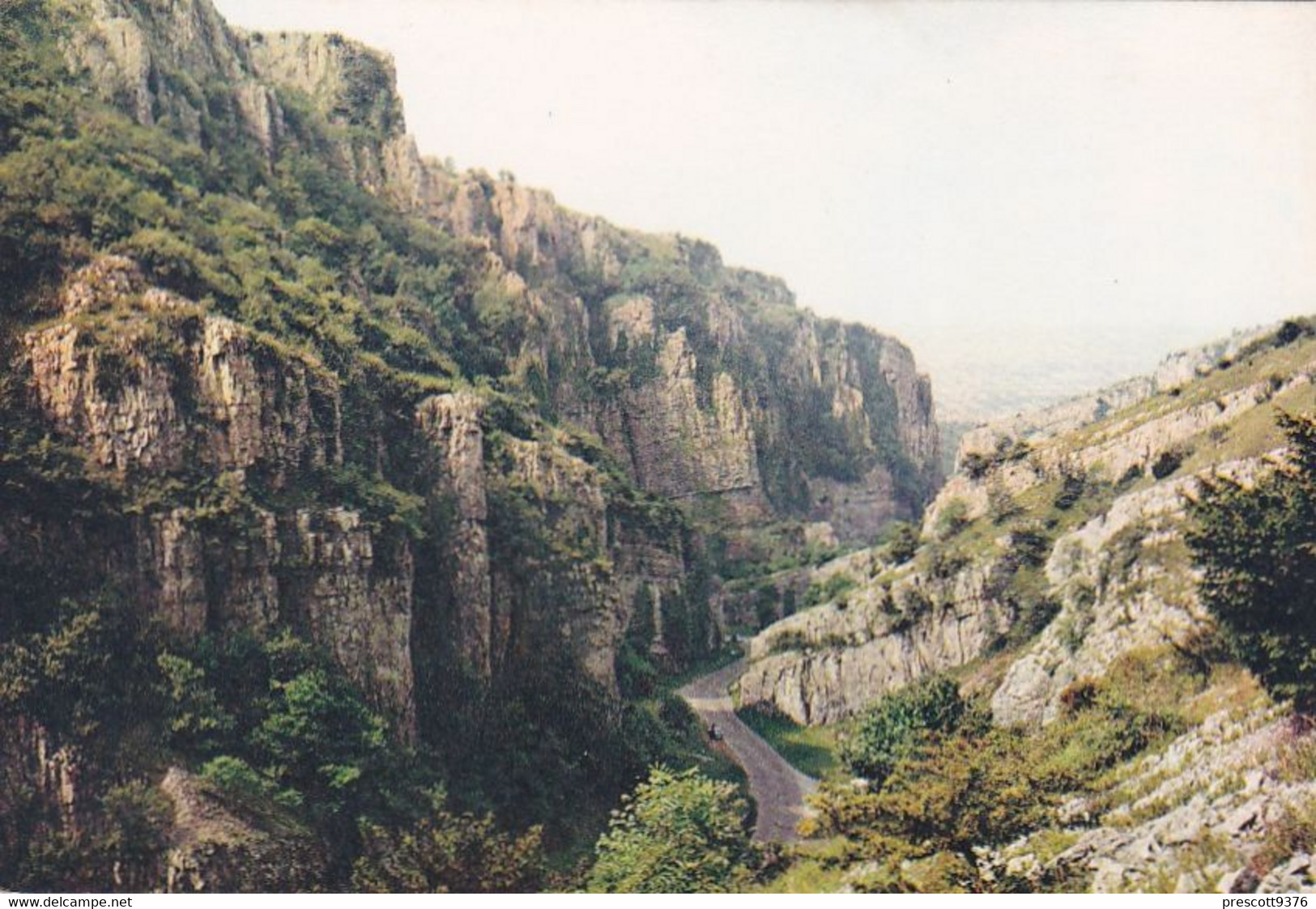 Cheddar Gorge - Unused Postcard - Somerset - J Arthur Dixon - Wells