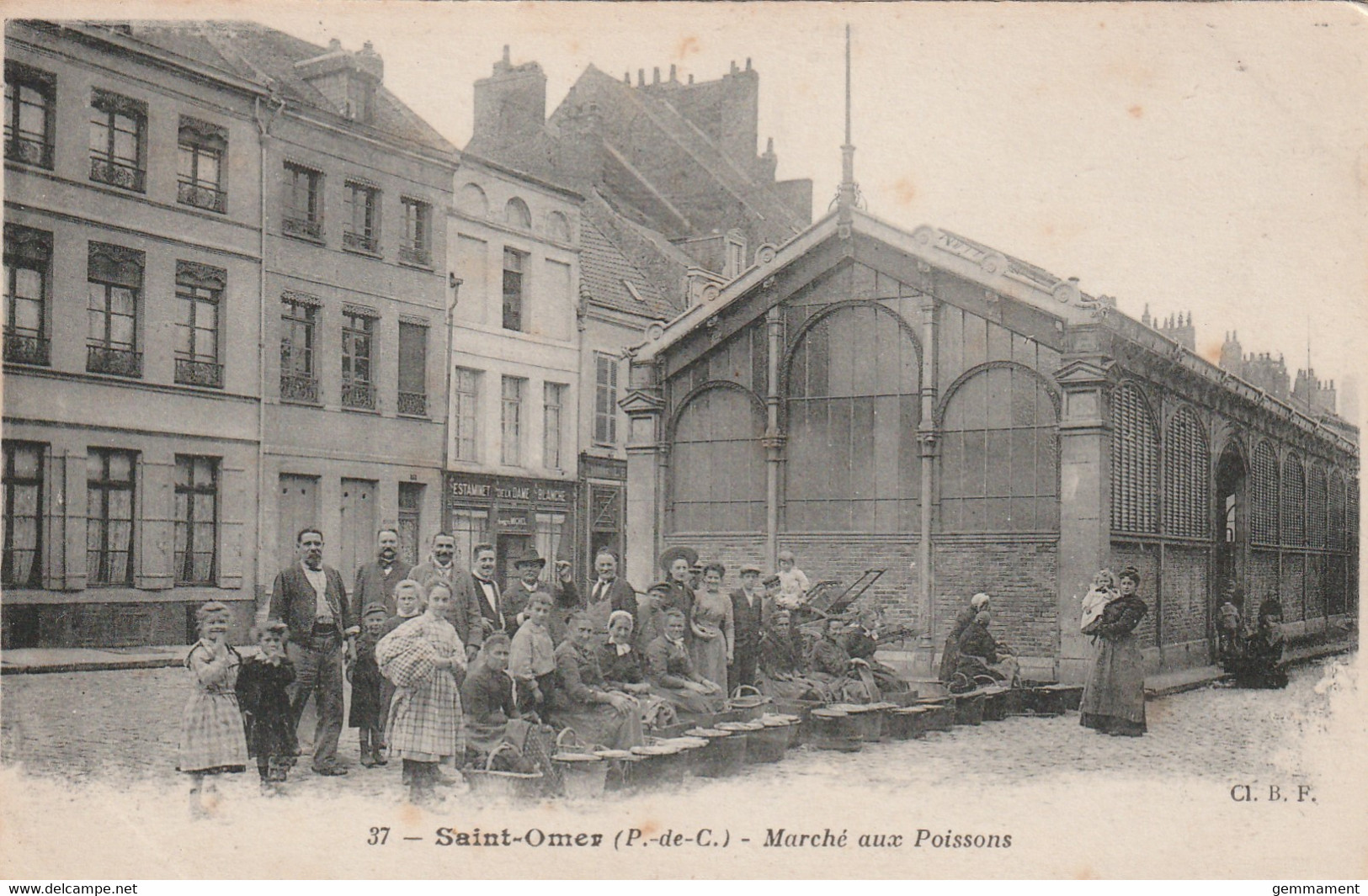 SAINT OMER - FISH MARKET - Saint Omer