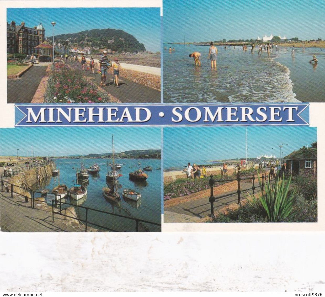 Minehead Multiview - Unused Postcard - Somerset - - Minehead