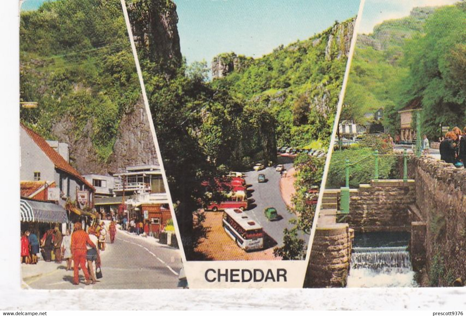 Cheddar  Multiview - Unused Postcard - Somerset - - Cheddar