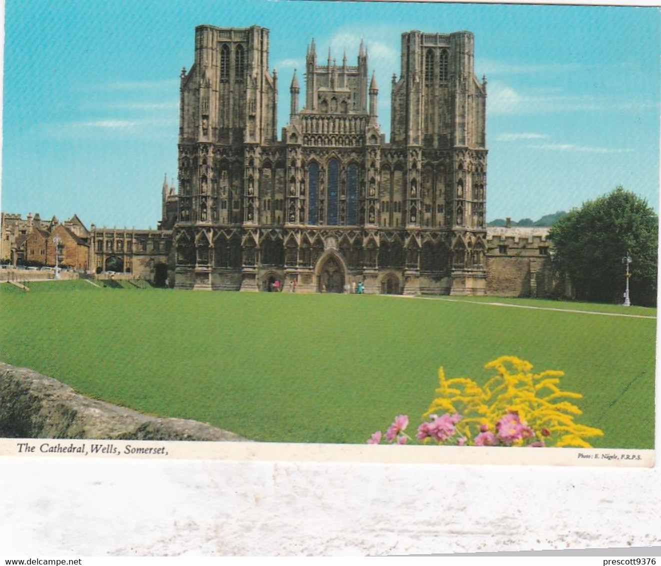 Wells Cathedral - Unused Postcard - Somerset - John Hinde - Wells