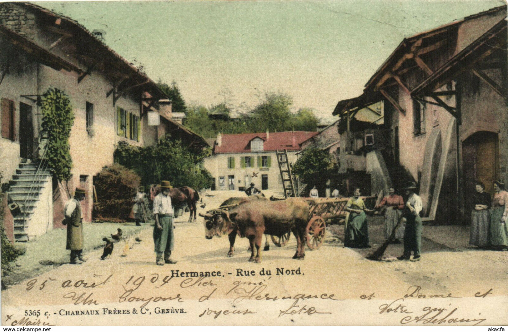 PC SWITZERLAND, HERMANCE, RUE DU NORD, Vintage Postcard (b29507) - Hermance