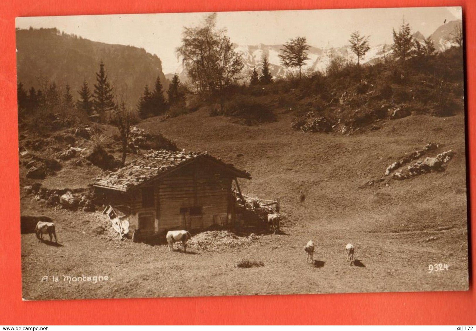 MKG-40  Lieu à Déterminer . A La Montagne  Troupeau De Vaches  Circulé, écrite Du Locle  1915 Perrochet-M. 9324 - Le Locle