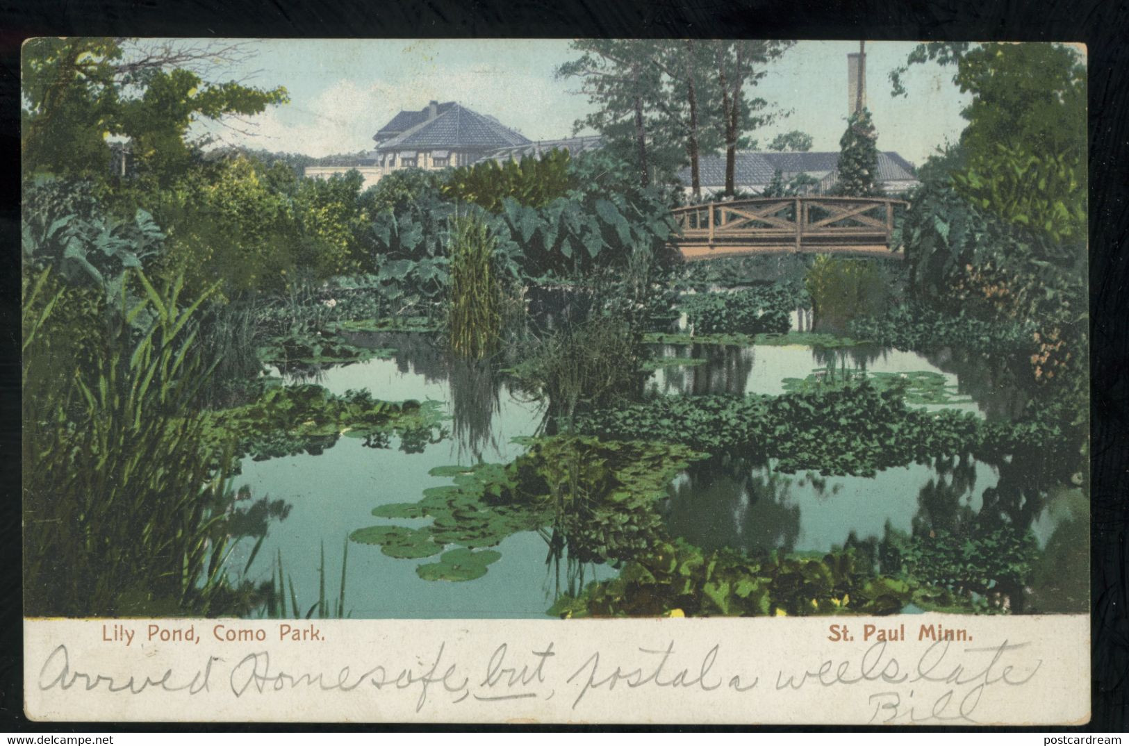 ST Paul MN Lily Pond Como Park Postcard 1906 - St Paul