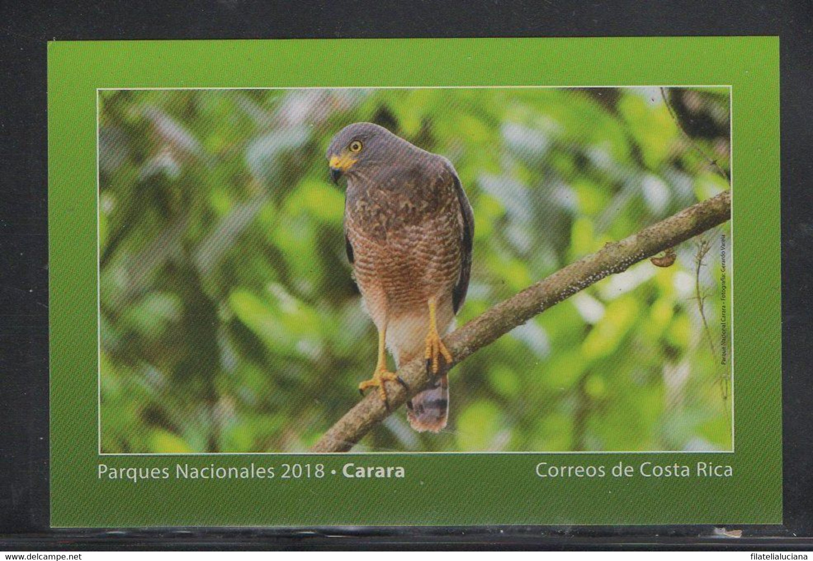 Costa Rica 2018 Postcard National Parks Carara Birds - Eagles & Birds Of Prey