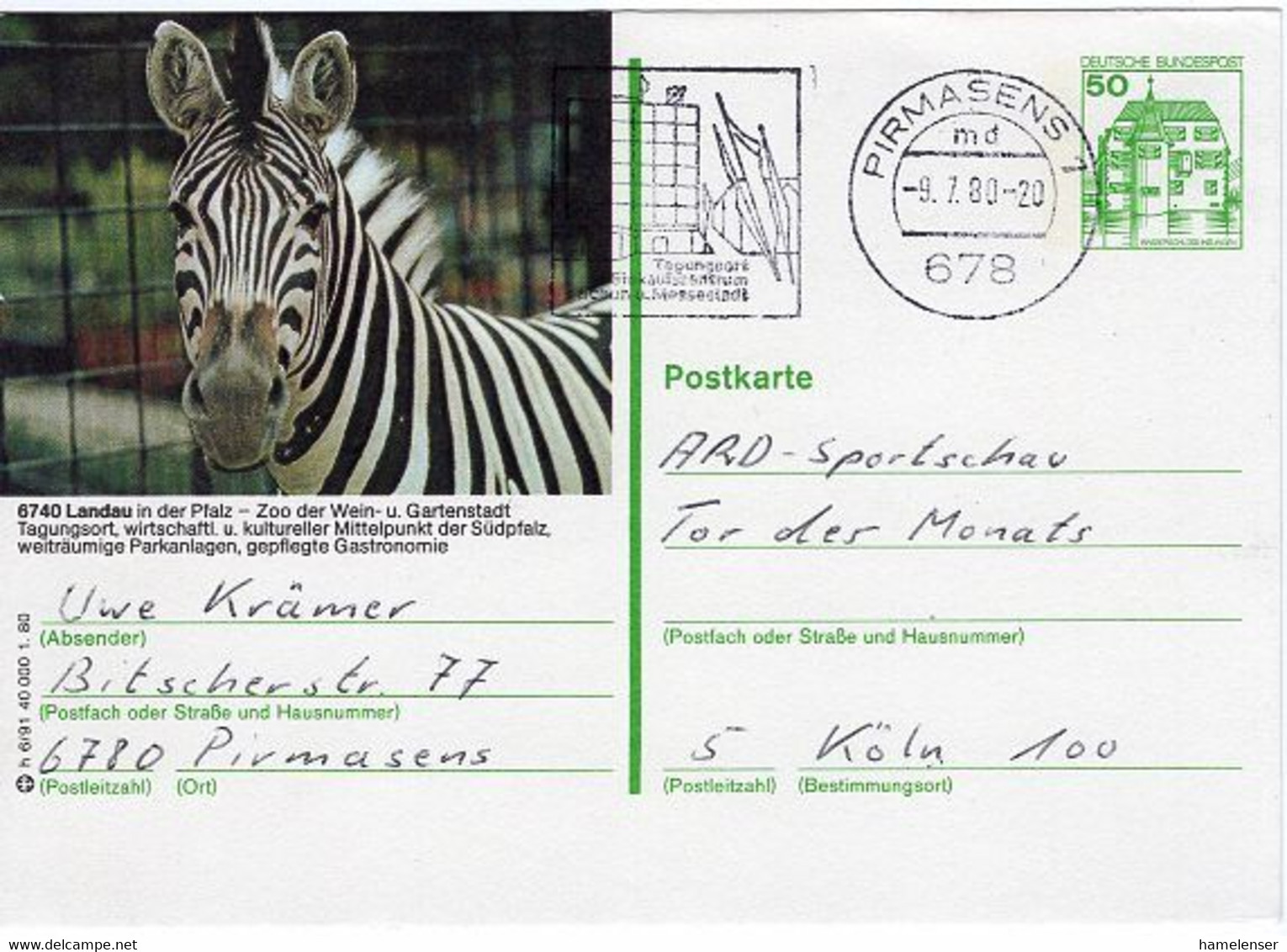 50172 - Bund - 1980 - 50Pfg. Bild-GAKte. "Zebra" PIRMASENS -> Koeln - Pferde