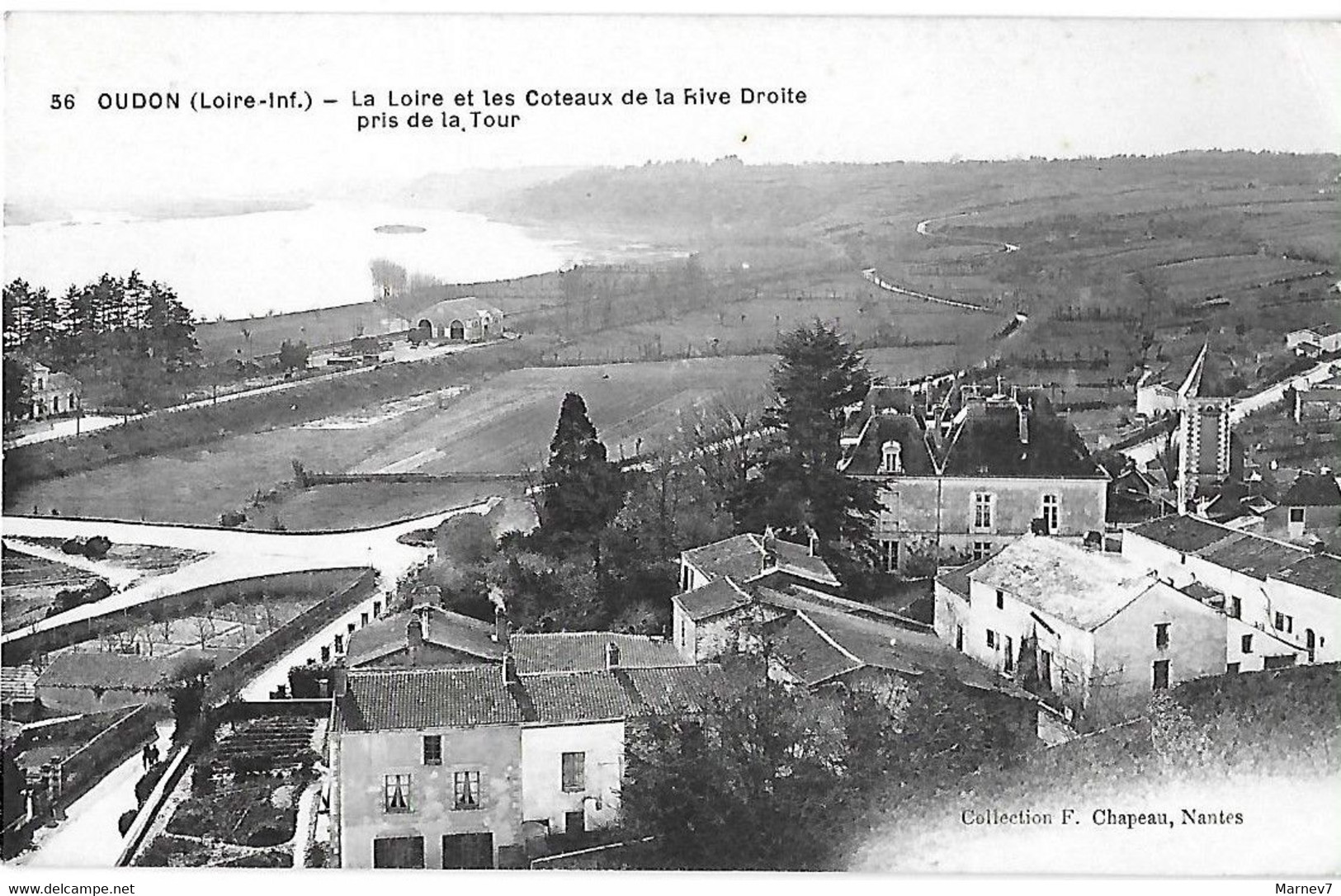 44 Loire Atlantique - CPA - OUDON - La Loire Les Coteaux Rive Droite Pris De La Tour - - Oudon