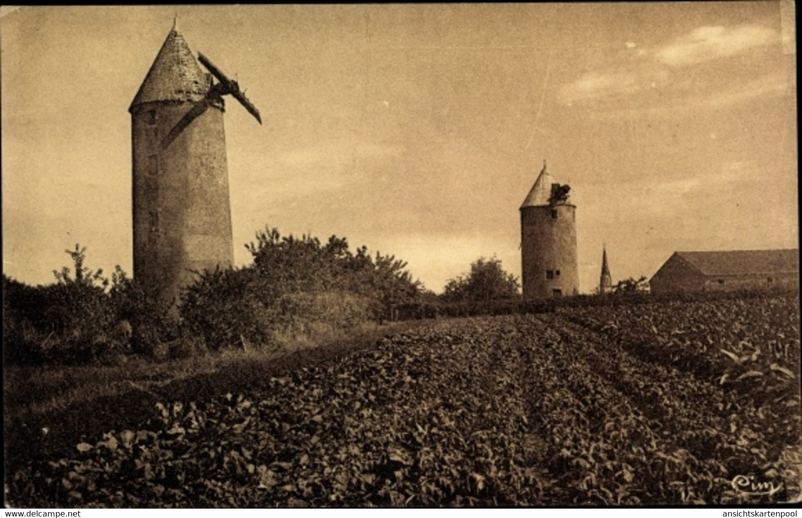 CPA Les Aubiers Deux Sèvres, Les Anciens Moulins à Vent - Sonstige & Ohne Zuordnung