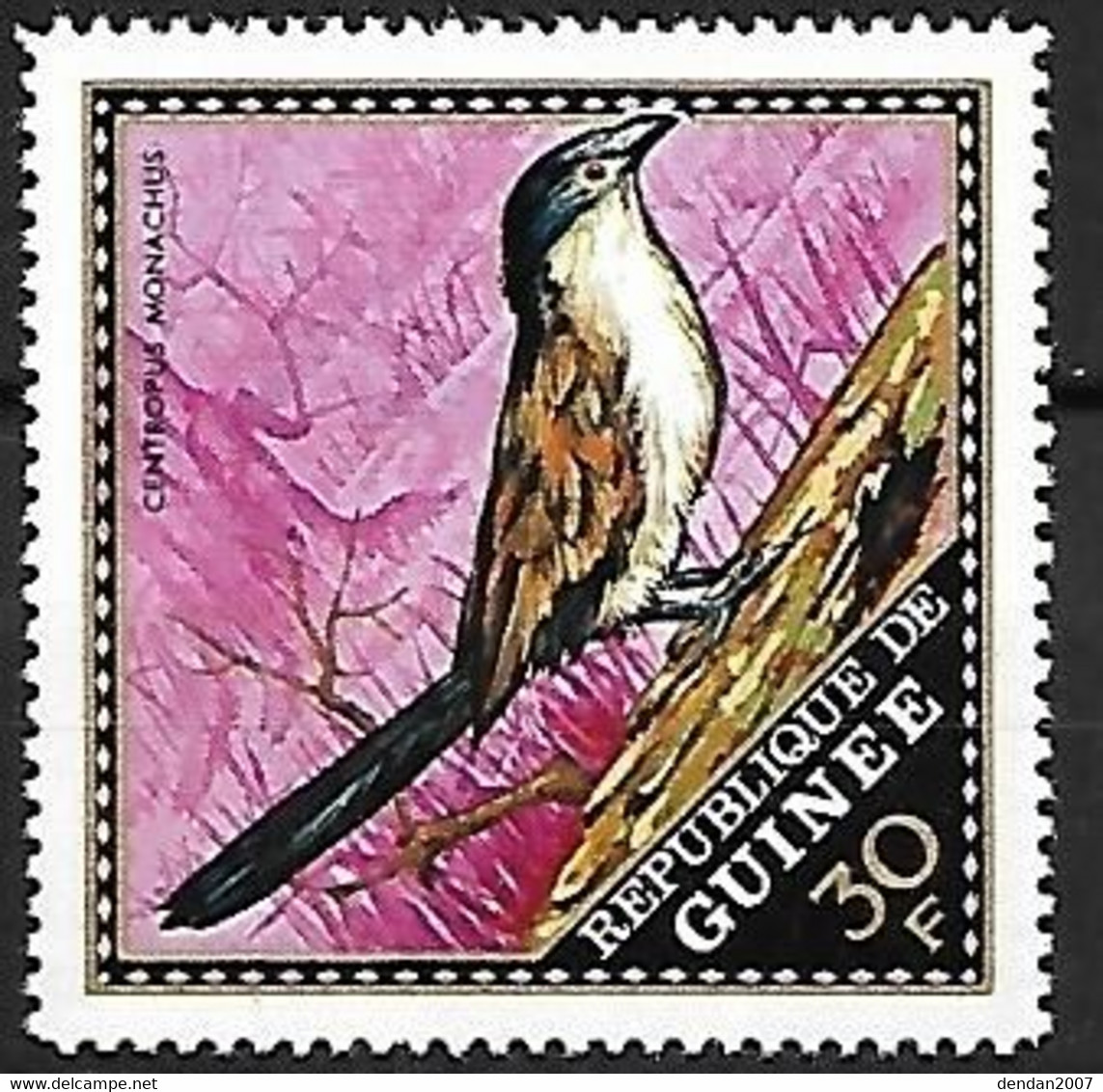 Guinea (Guinée) - MNH ** 1971 :   Blue-headed Coucal  -  Centropus Monachus - Cuco, Cuclillos