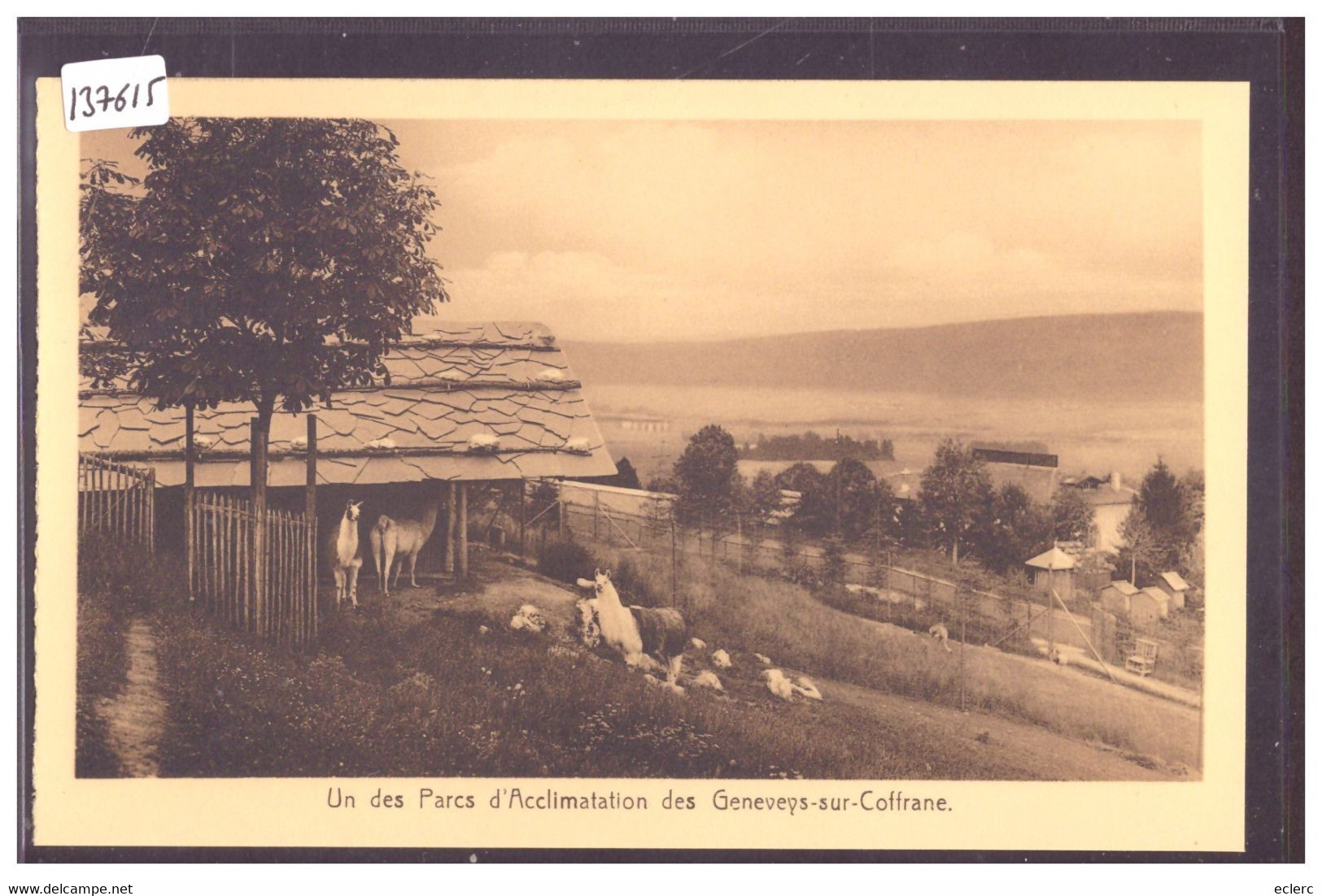 GENEVEYS SUR COFFRANE - PARC D'ACCLIMATATION - TB - Coffrane