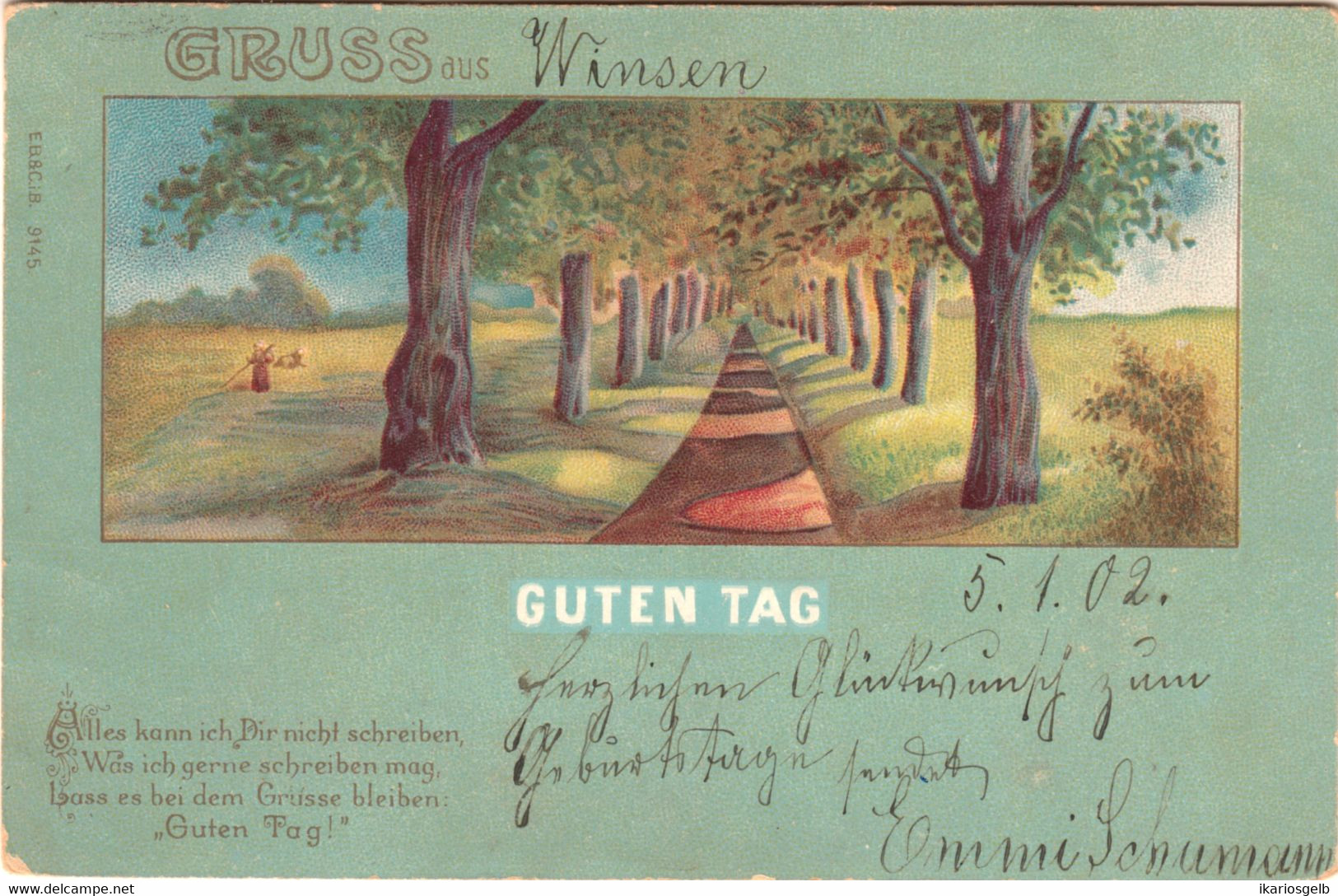 WINSEN Luhe 1902 " Gruß Aus Winsen " Frankierter Orts-Bedarf Germania 3 Pfg - Winsen