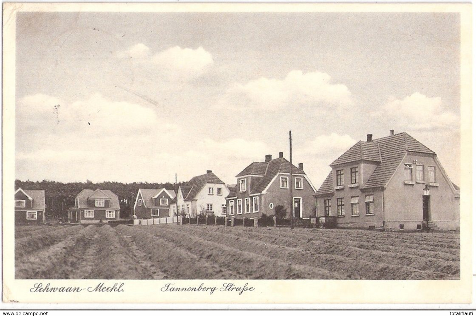 SCHWAAN Mecklenburg Tannenberg Strasse Fast TOP-Erhaltung Gelaufen 15.3.1940 Als Feldpost - Buetzow