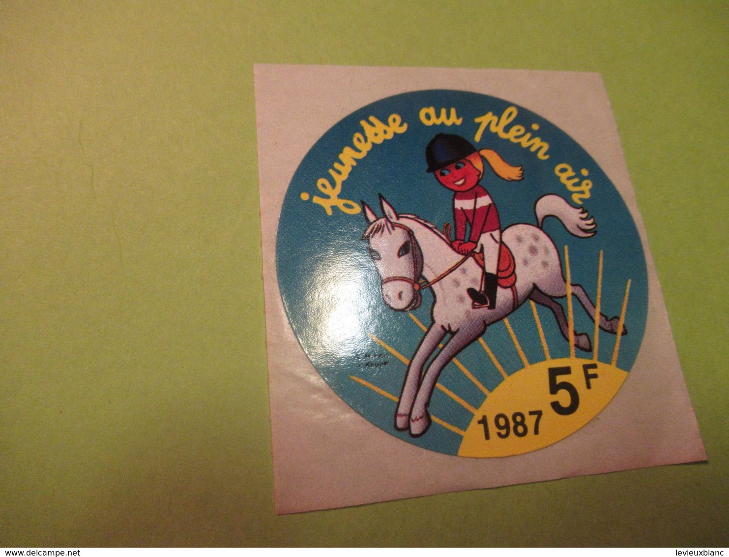 JEUNESSE / Jeunesse Au Plein Air / Pour Leurs Vacances Et Leurs Loisirs/ 1987 / 5 F      ACOL182 - Stickers