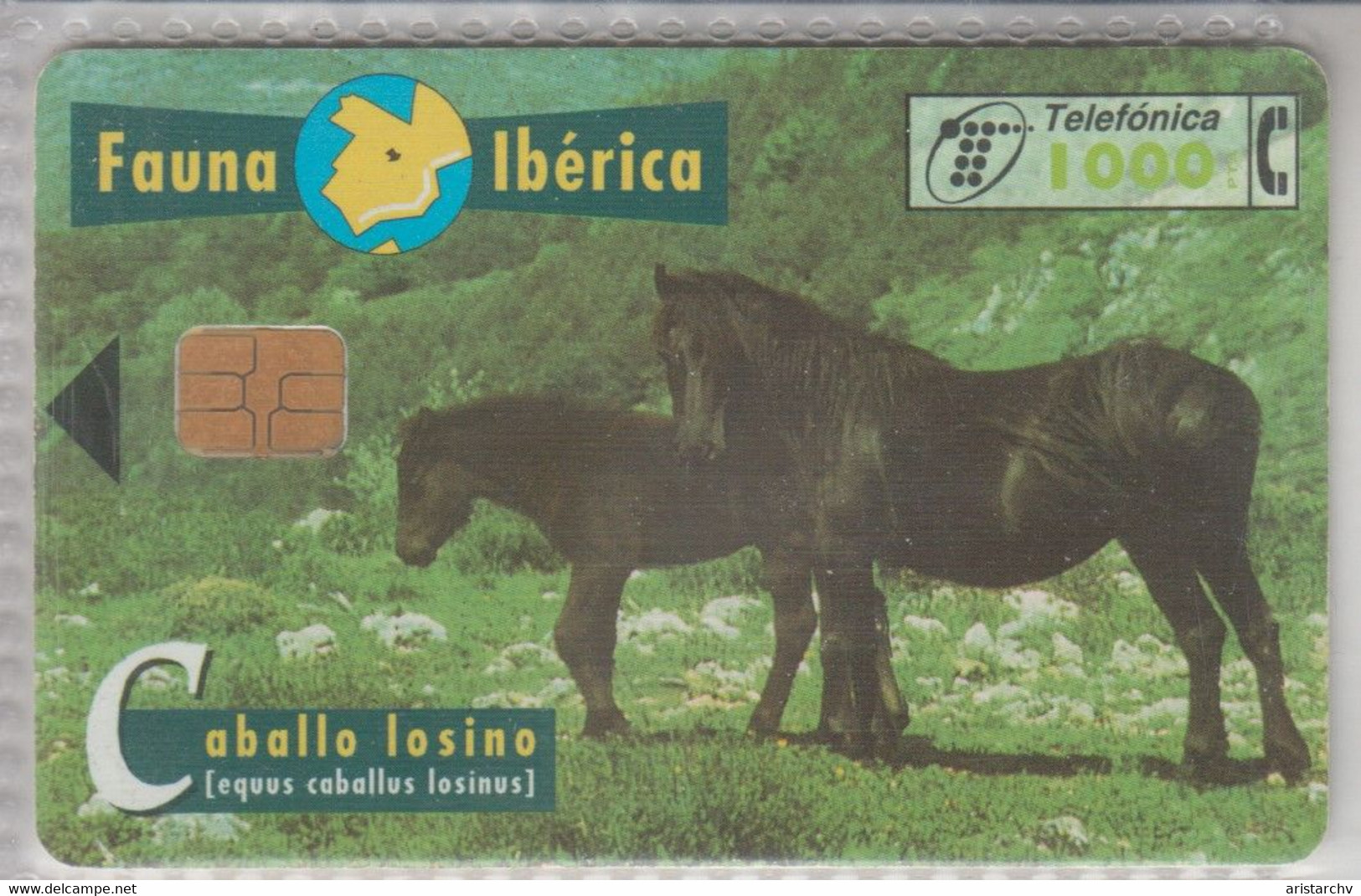 SPAIN 1997 FAUNA IBERICA HORSE CABALLO LOSINO - Chevaux
