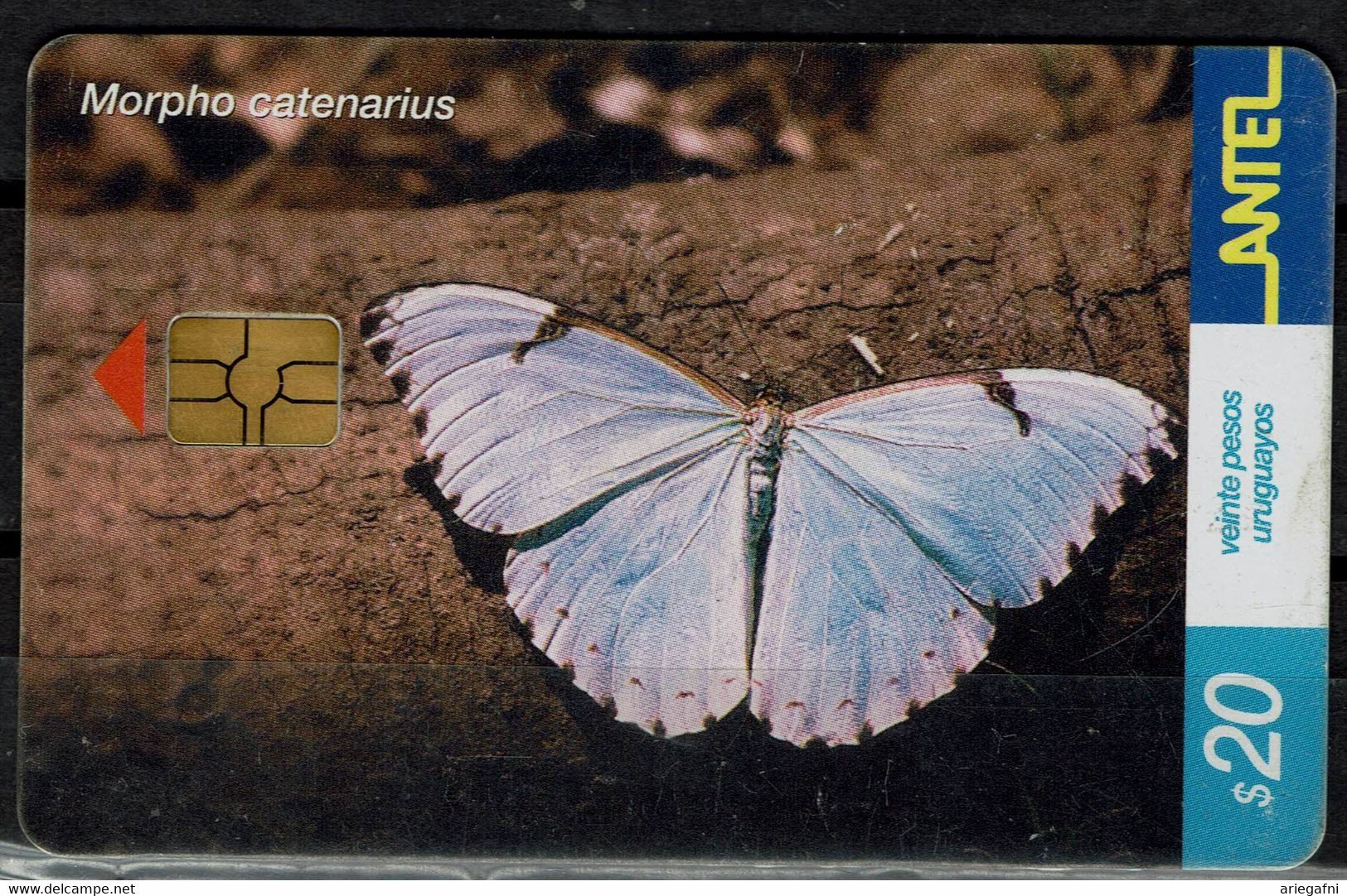 URUGUAY 2002 PHONECARD BUTTERFLIES USED VF!! - Vlinders