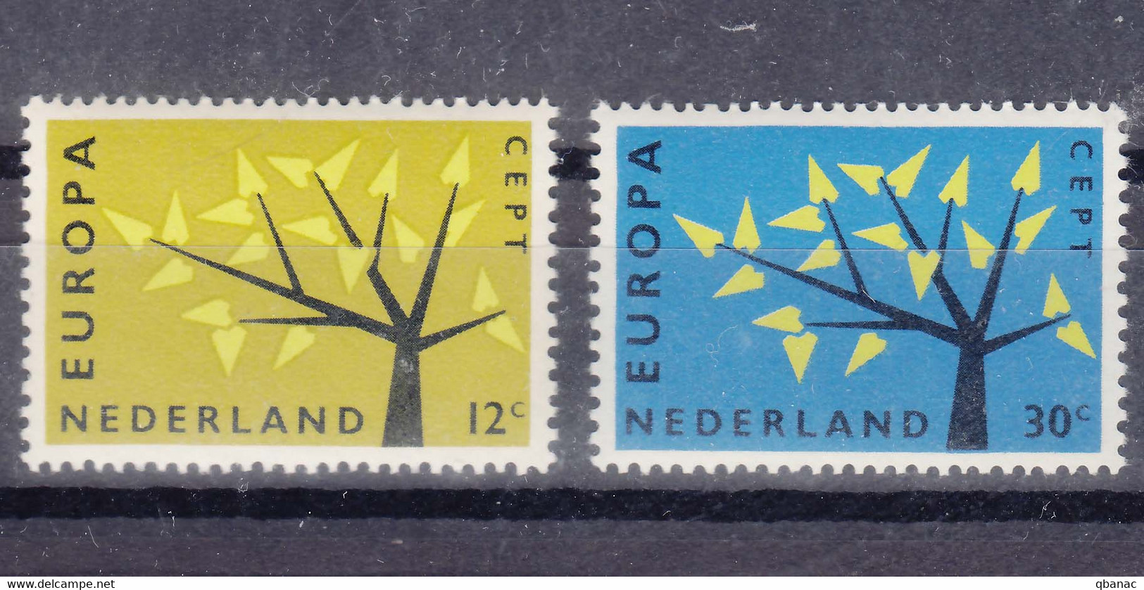 Netherlands 1962 Europa Mint Never Hinged - 1962