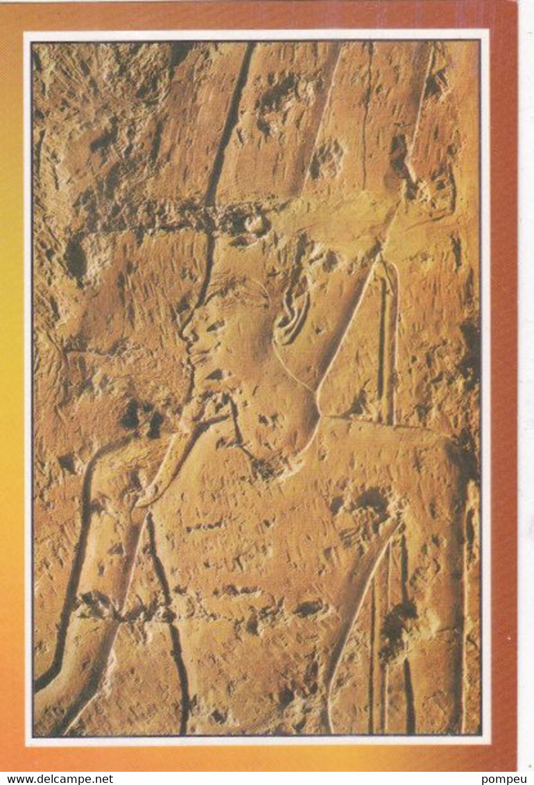 QQ - Lote 5 Cartes - EGIPT - The Temple Of Queen Hatchepsut  (neuf) - 5 - 99 Cartes