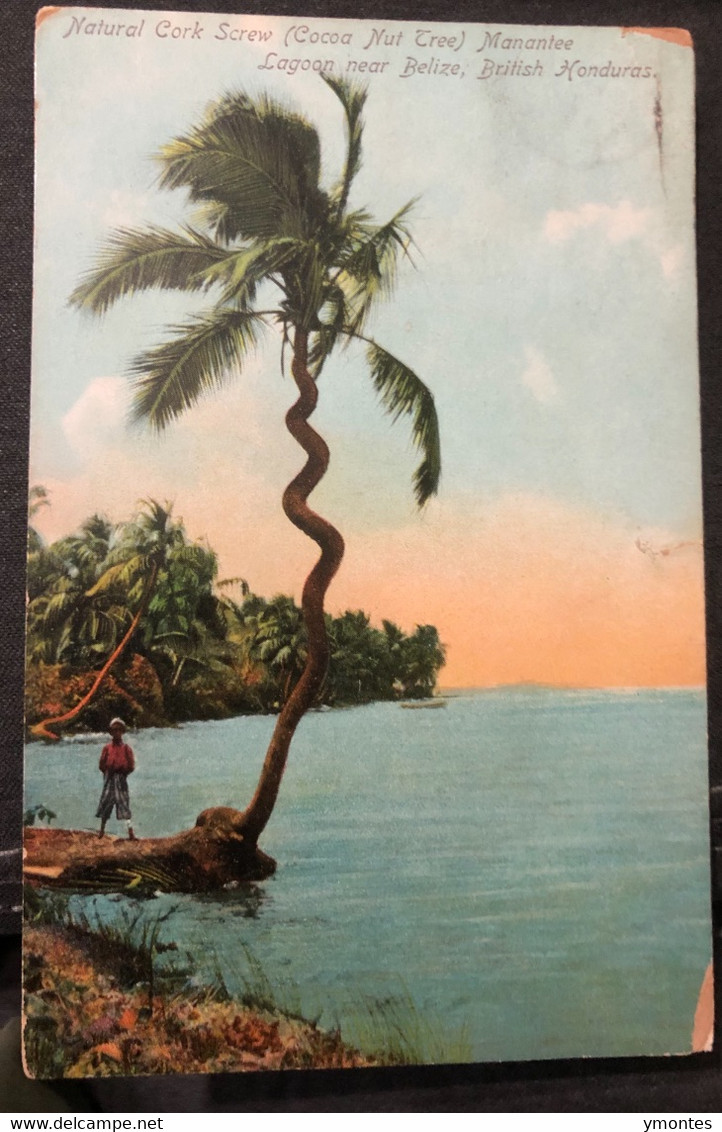 Postcard British Honduras , Manatee Lagoon 1908 - Belize