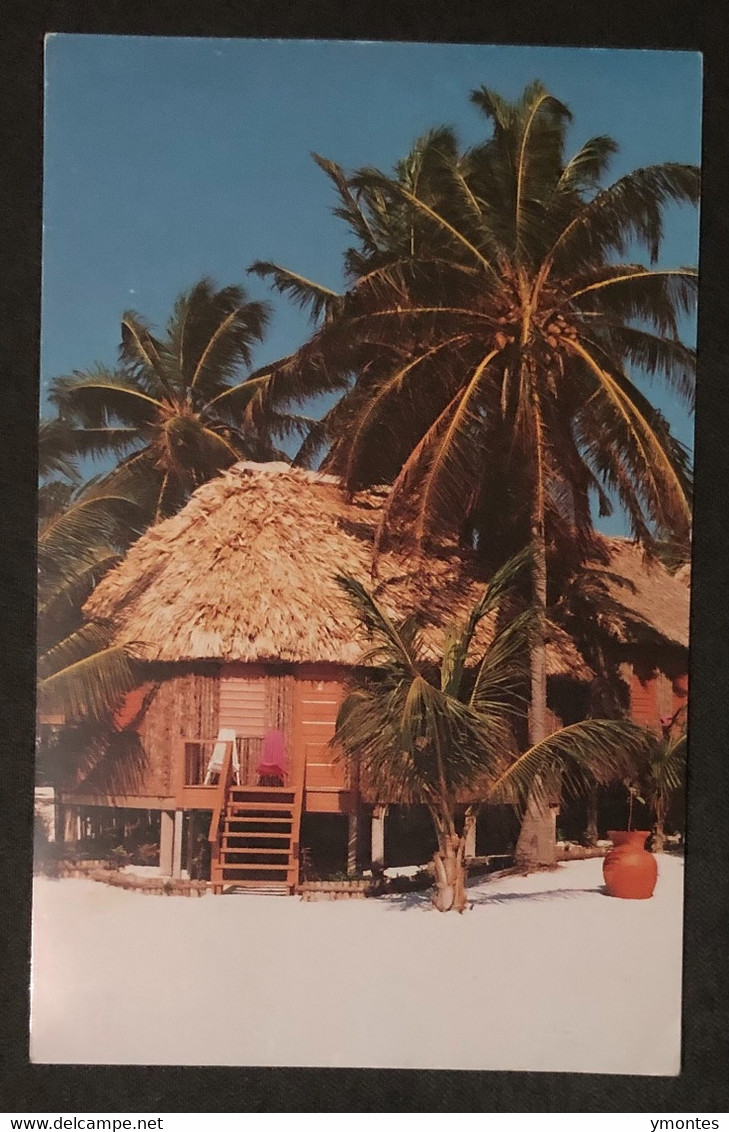 Postcard Belize, Ambergris 1991 - Belice