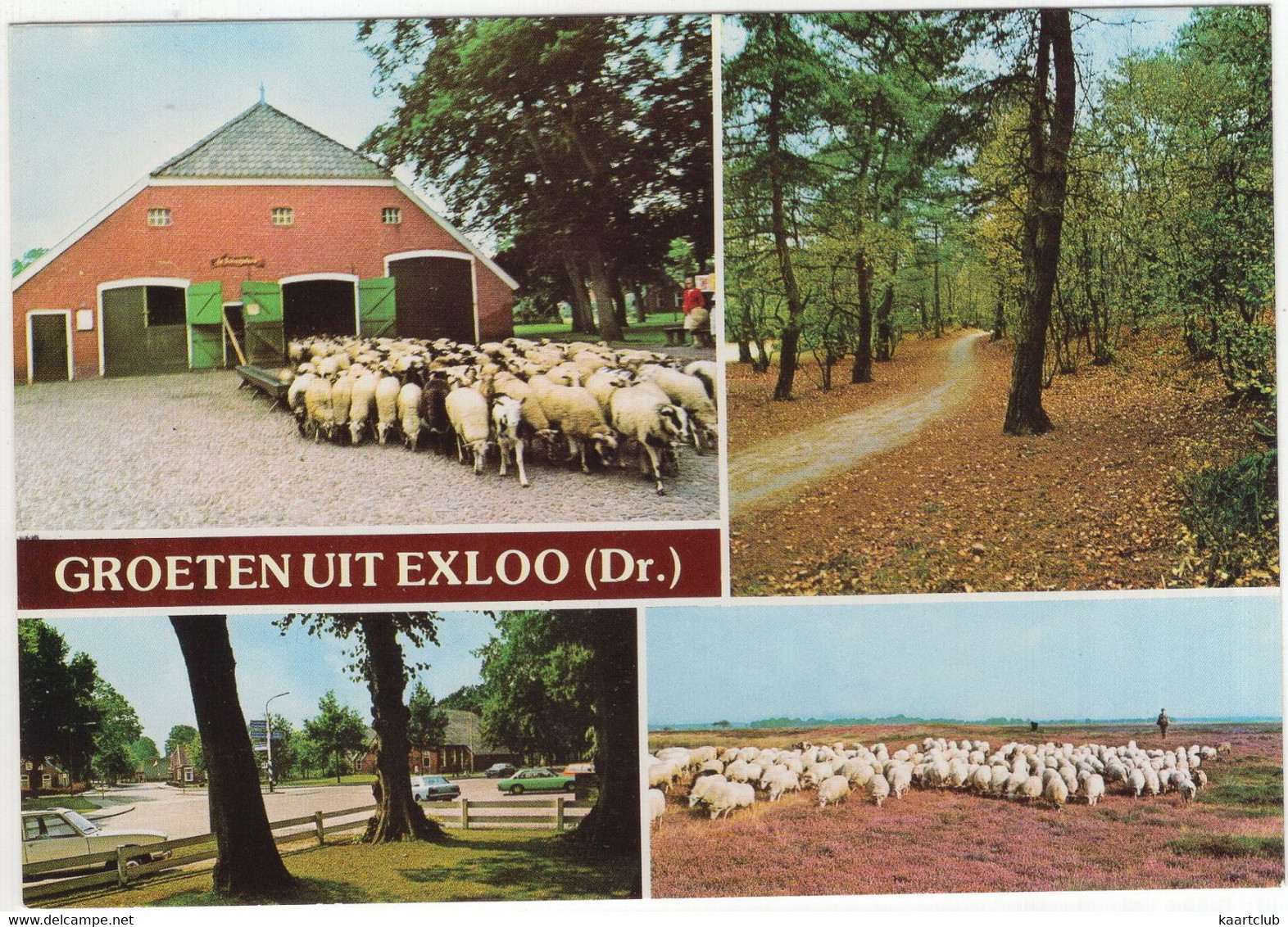 Groeten Uit Exloo - (Drenthe, Nederland/Holland) - Nr. L 6378 - Odoorn