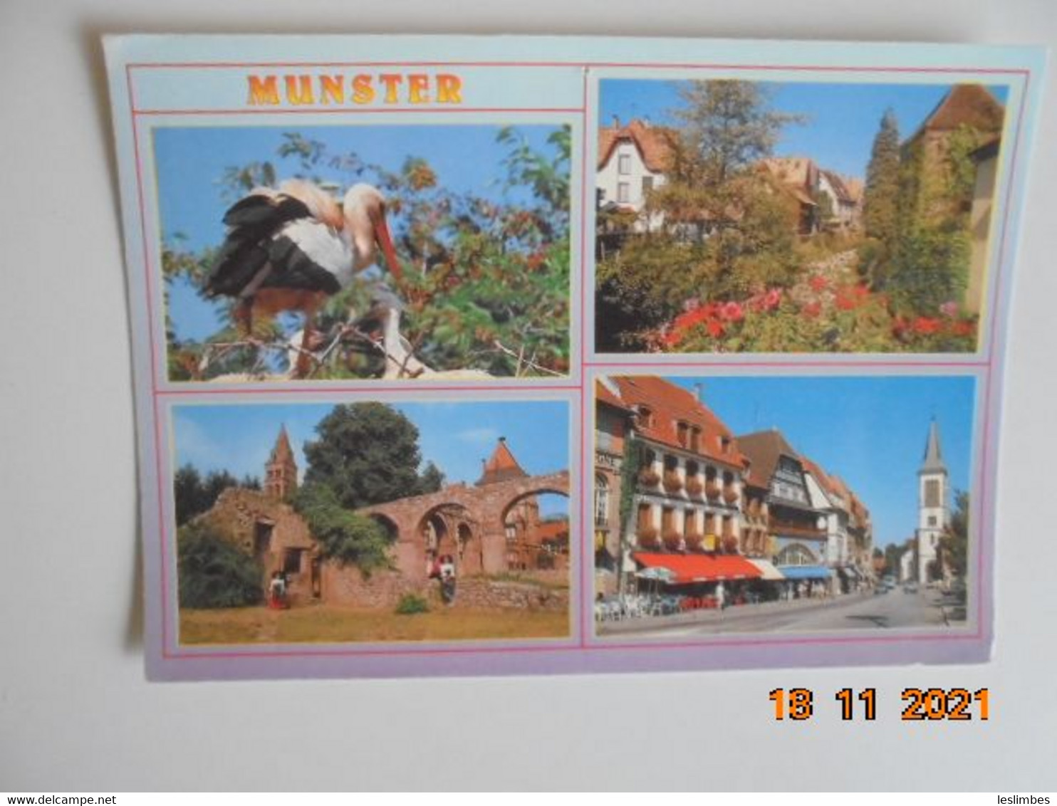 68140 Munster. Cigognes D'Alsace. Jardin Fleuri. L'Abbaye. Rue De La Republique. Les Editions De L'Est PM 1994 - Munster