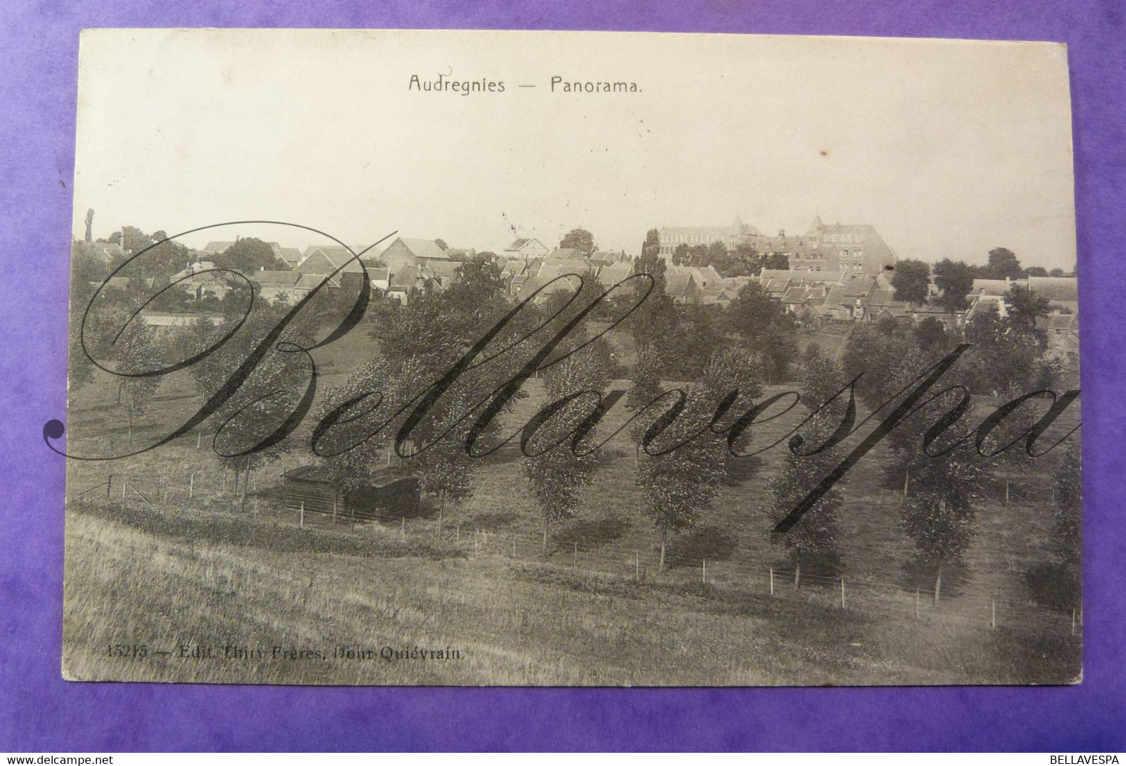 Audregnies Panorama. 1913- N°15215  Edit Thiry Dour - Quievrain