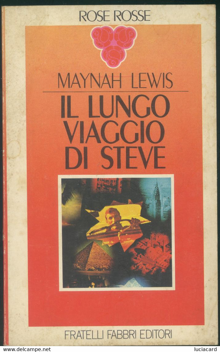 LIBRO IL LUNGO VIAGGIO DI STIVE - Thrillers