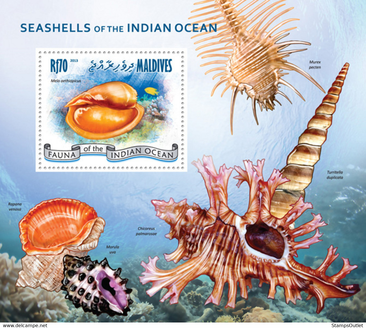 Maldives 2013 MNH -SHELLSM.  |  Yvert&Tellier Code: 614  |  Michel Code: 4867 / Bl.638  |  Scott Code: 3040 - Maldives (1965-...)