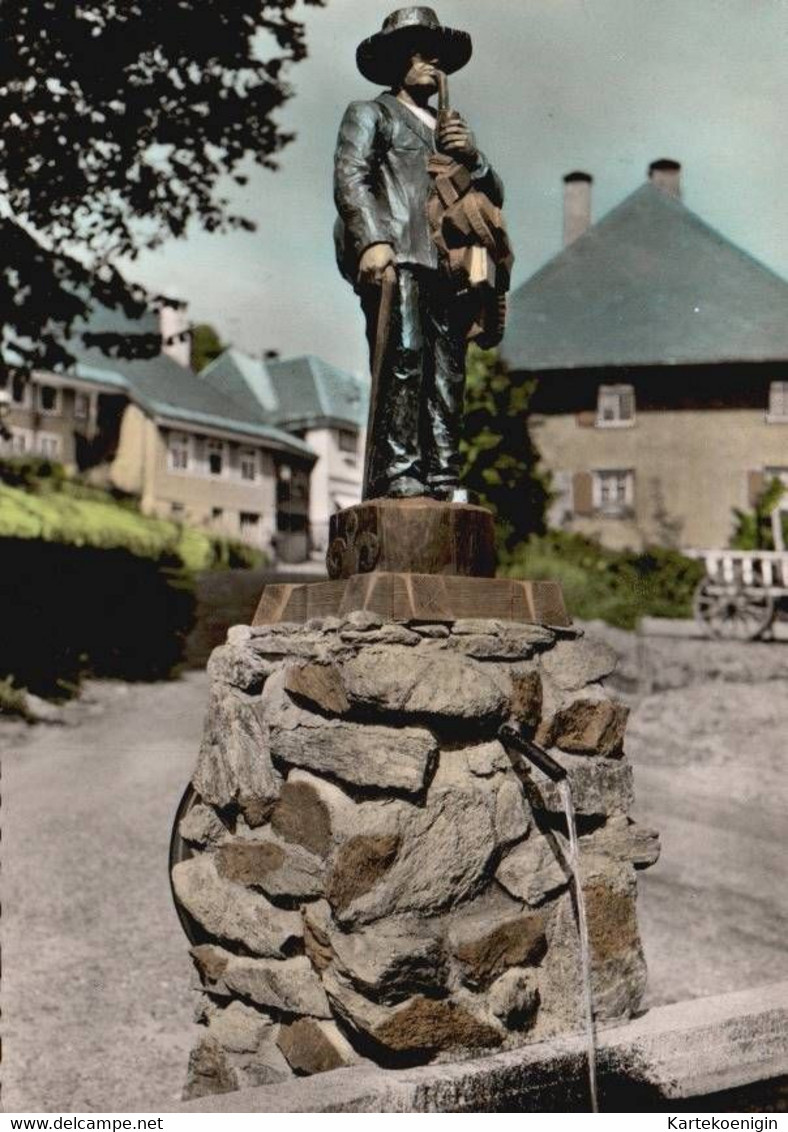 AK - Todtnauberg - Todtnau