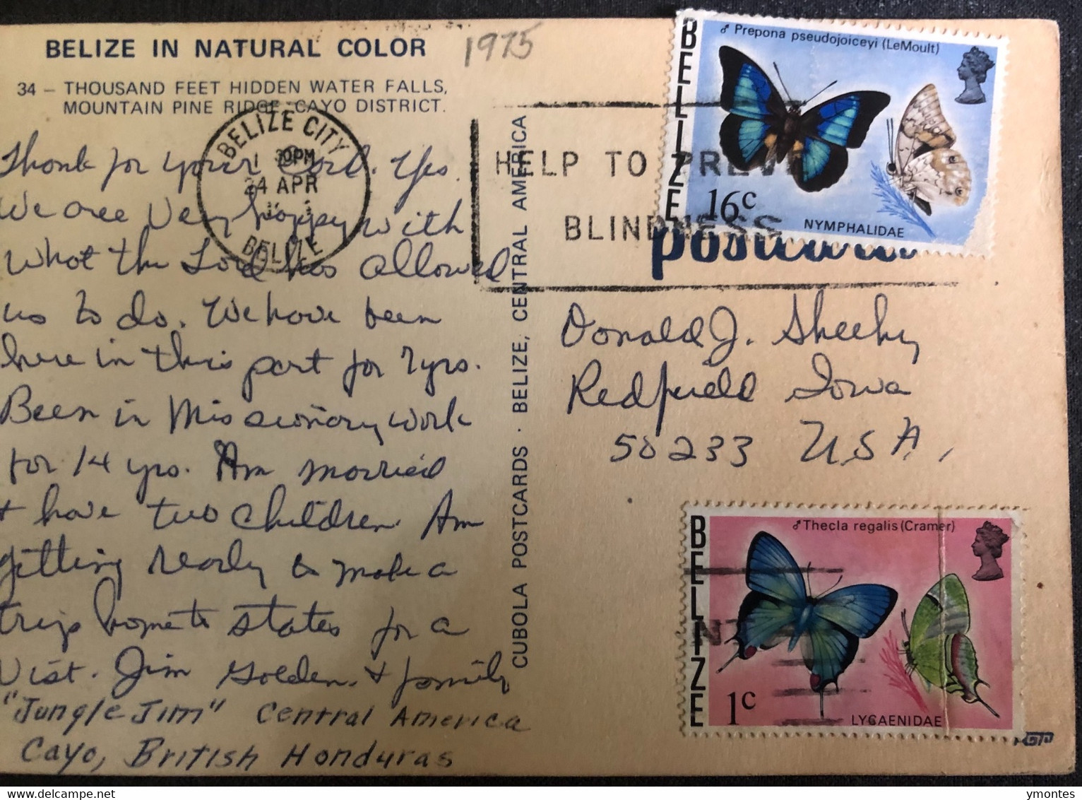 Postcard Belize 1975, Waterpolo Falls Mountain Pine , Cayo District - Belize